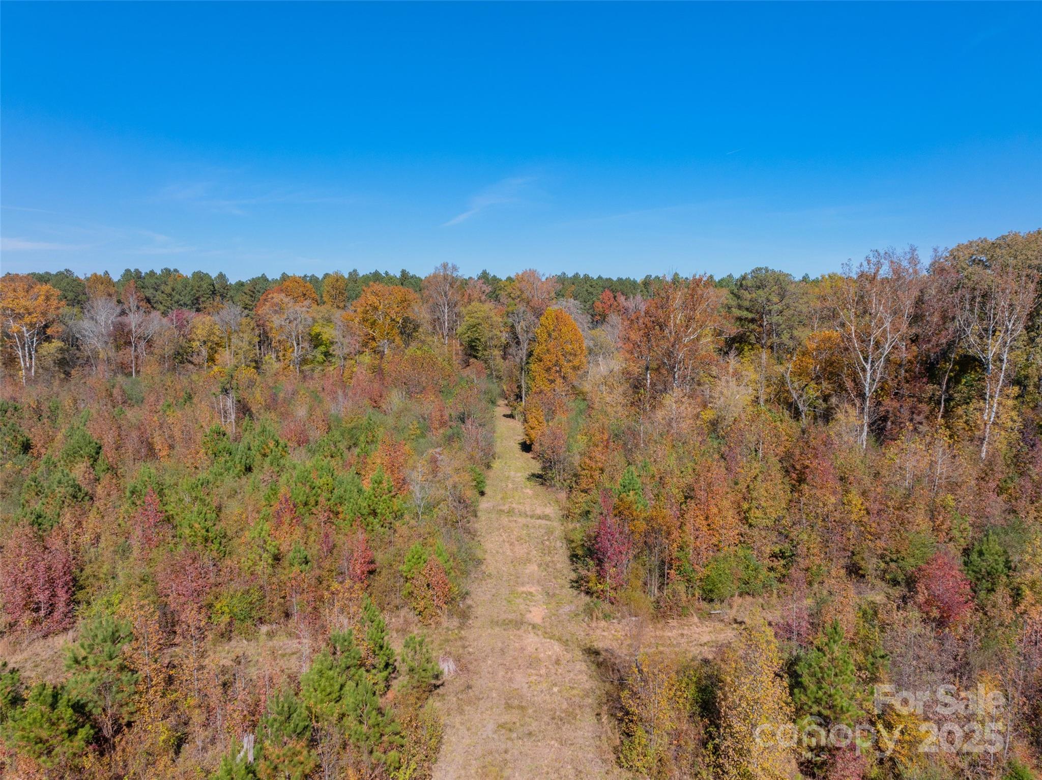 0 Hopewell Church Road, Unit 1 Blackstock, SC 29014 - Photo 14 of 46 Gallery Image 14