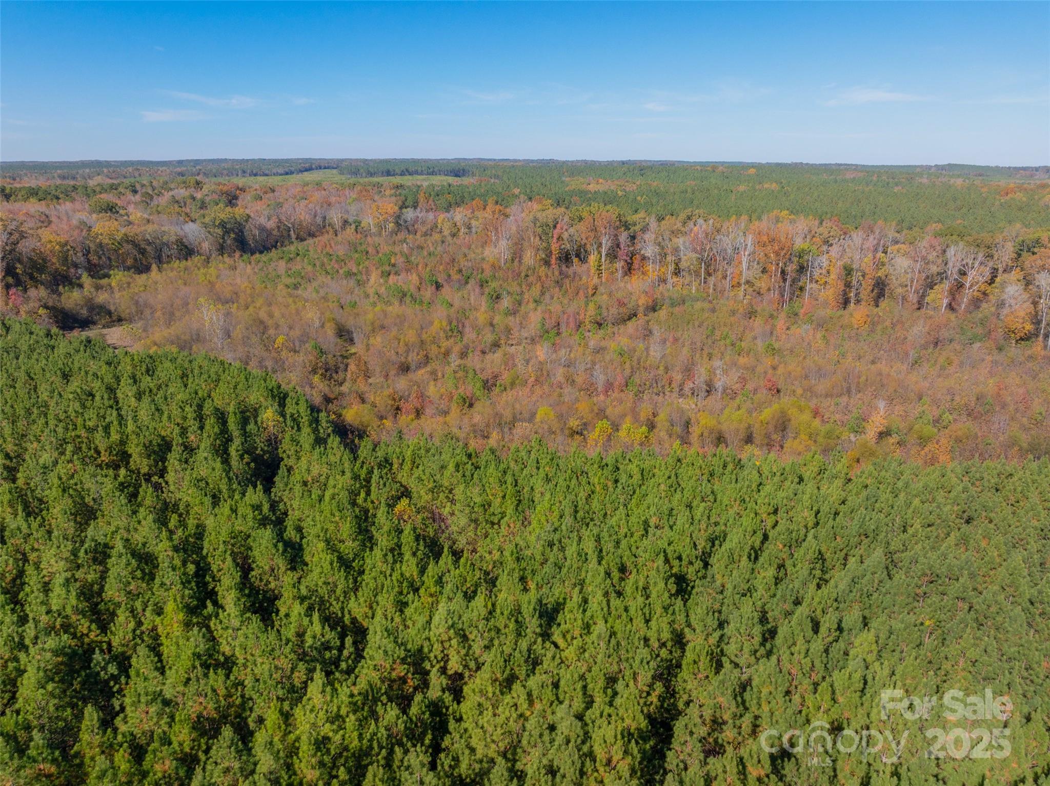 0 Hopewell Church Road, Unit 1 Blackstock, SC 29014 - Photo 23 of 46 Gallery Image 23