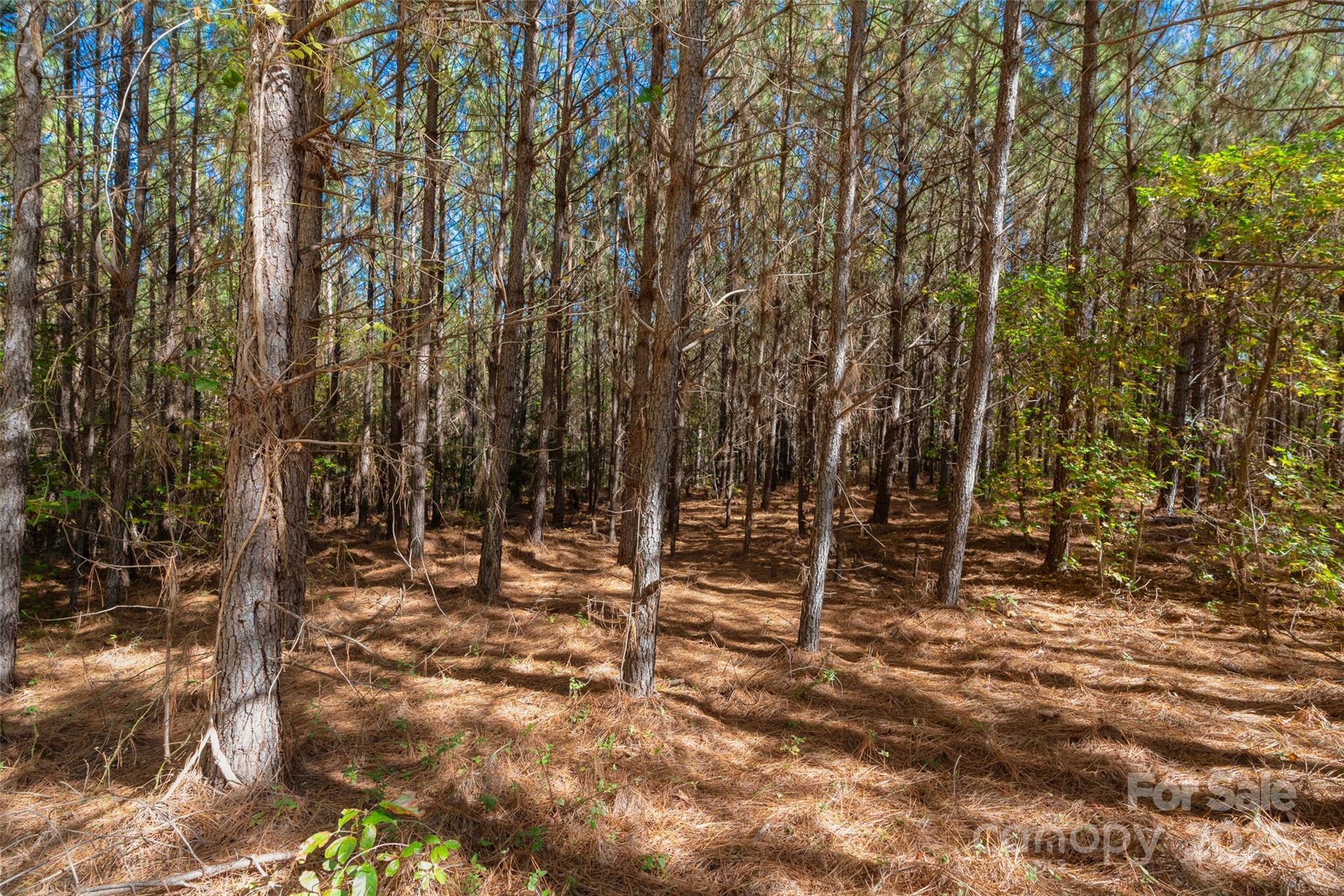0 Hopewell Church Road, Unit 1 Blackstock, SC 29014 - Photo 25 of 46 Gallery Image 25