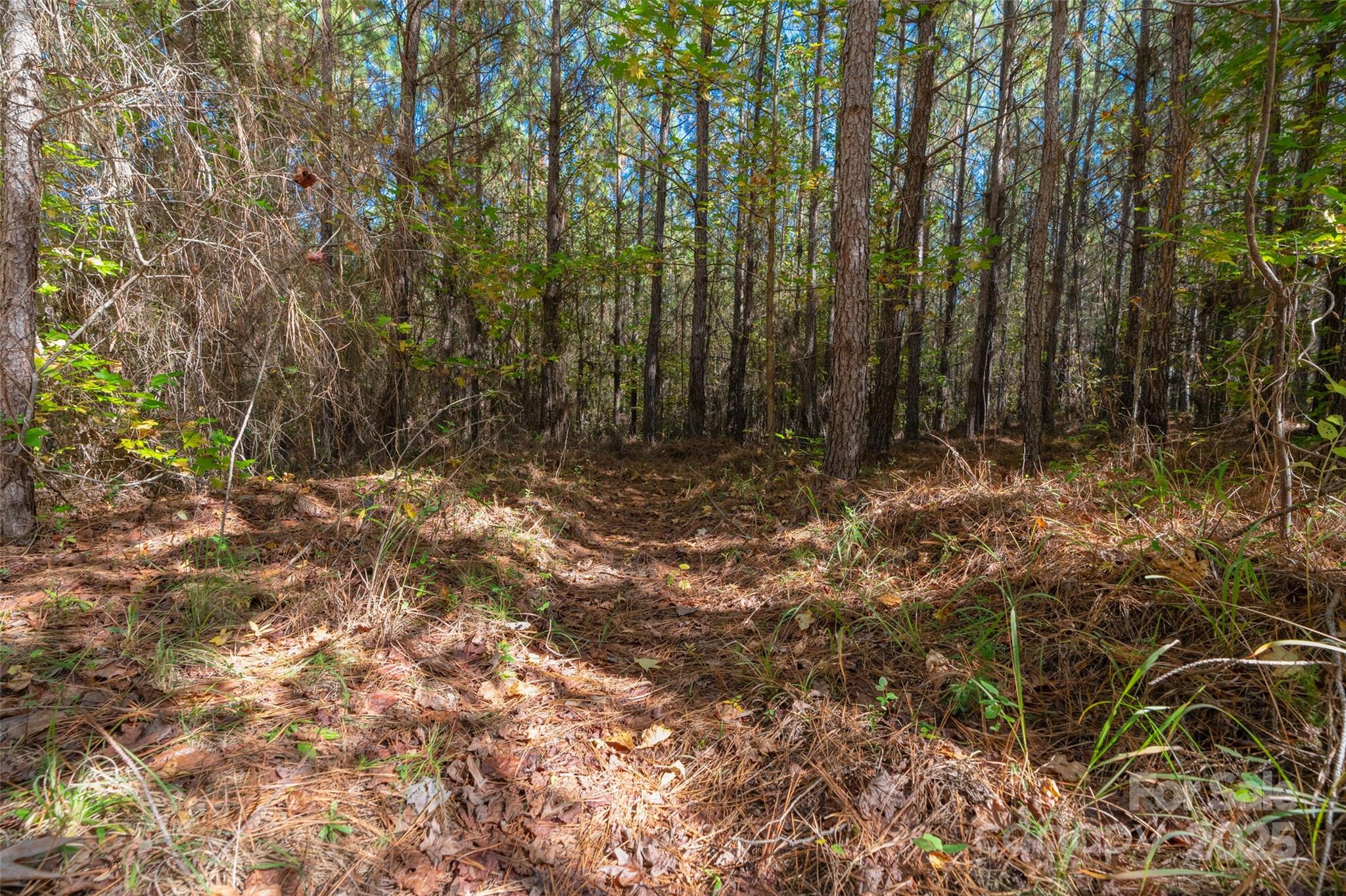 0 Hopewell Church Road, Unit 1 Blackstock, SC 29014 - Photo 27 of 46 Gallery Image 27