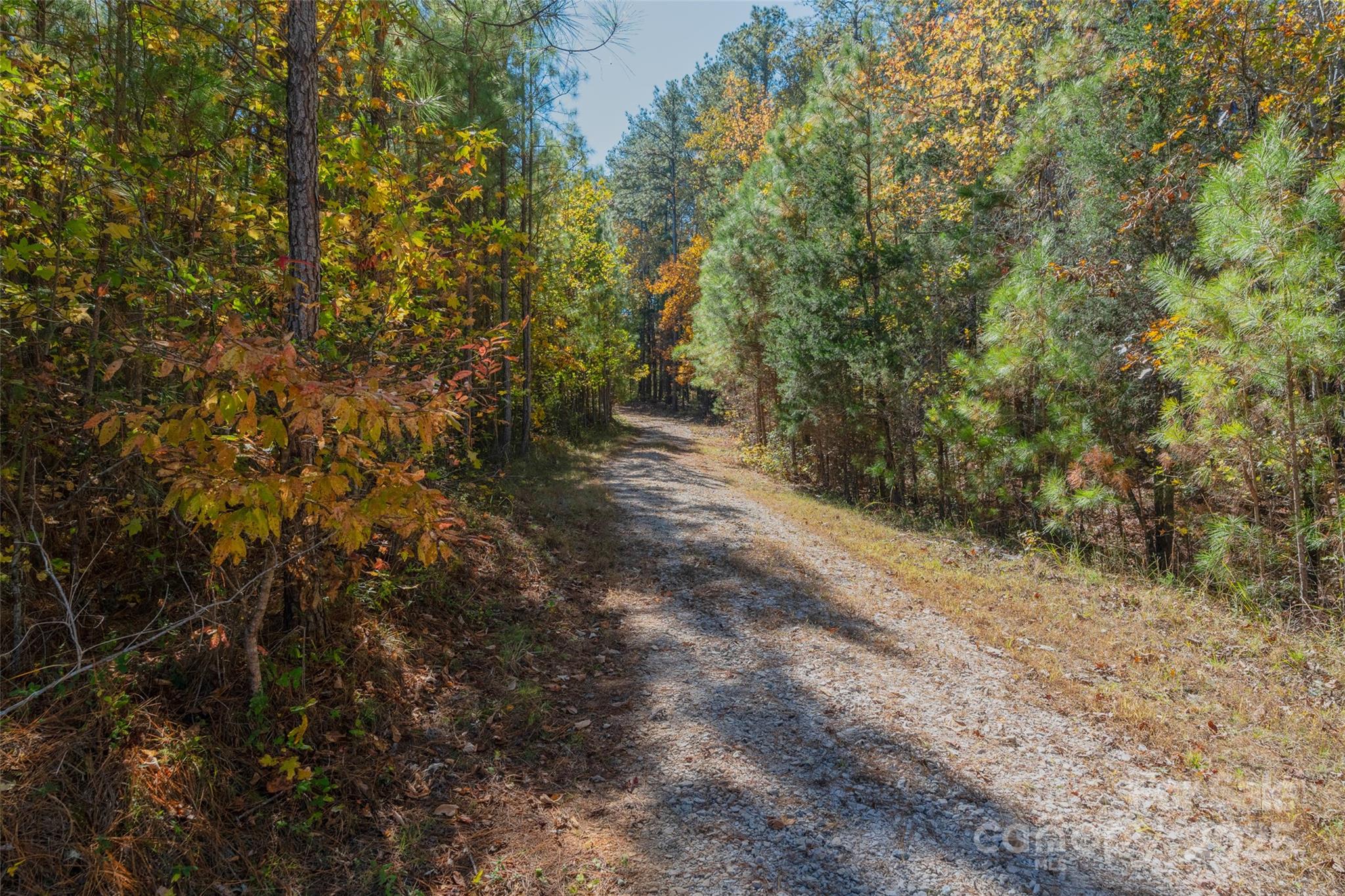 0 Hopewell Church Road, Unit 1 Blackstock, SC 29014 - Photo 28 of 46 Gallery Image 28