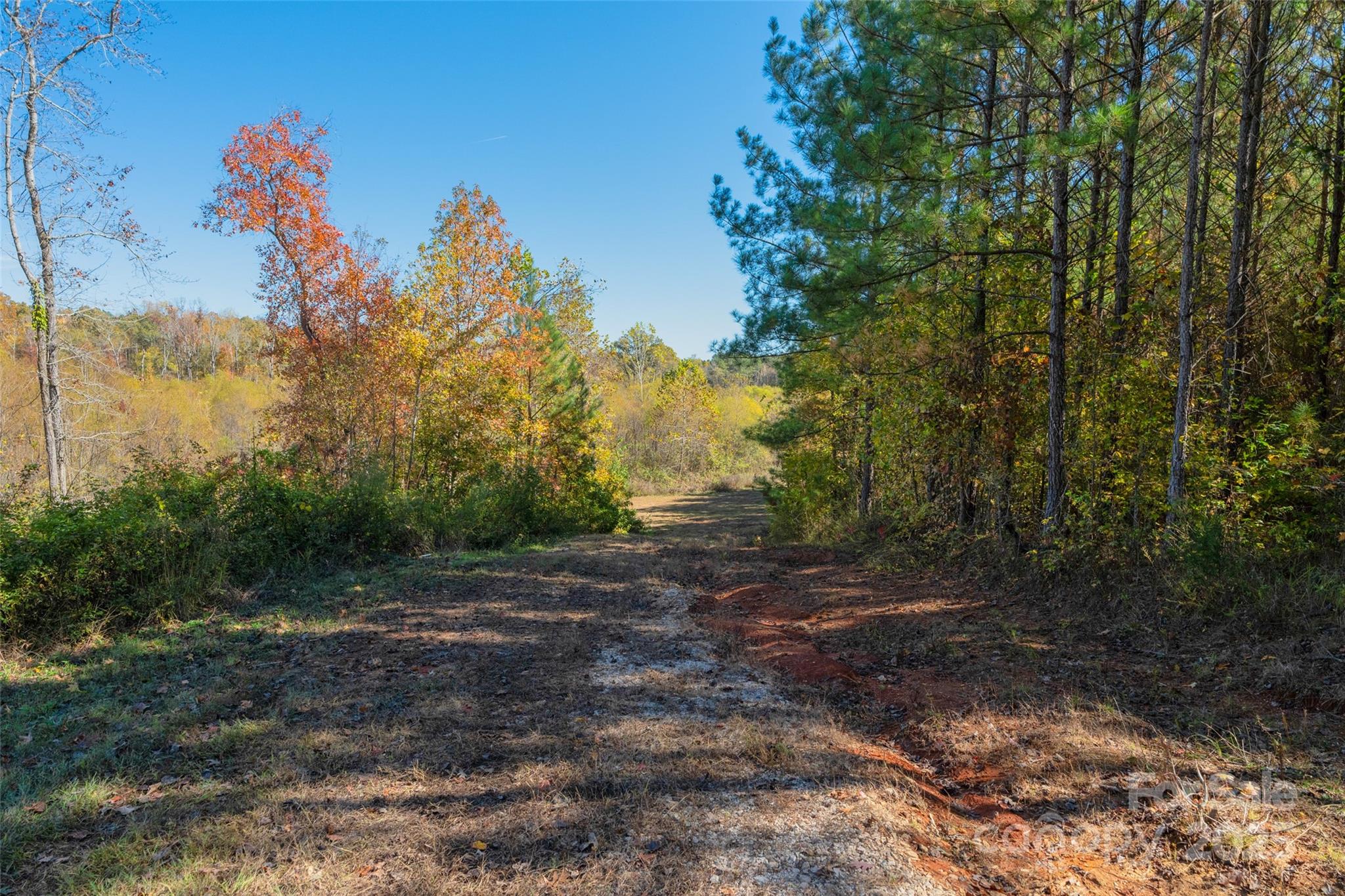 0 Hopewell Church Road, Unit 1 Blackstock, SC 29014 - Photo 29 of 46 Gallery Image 29