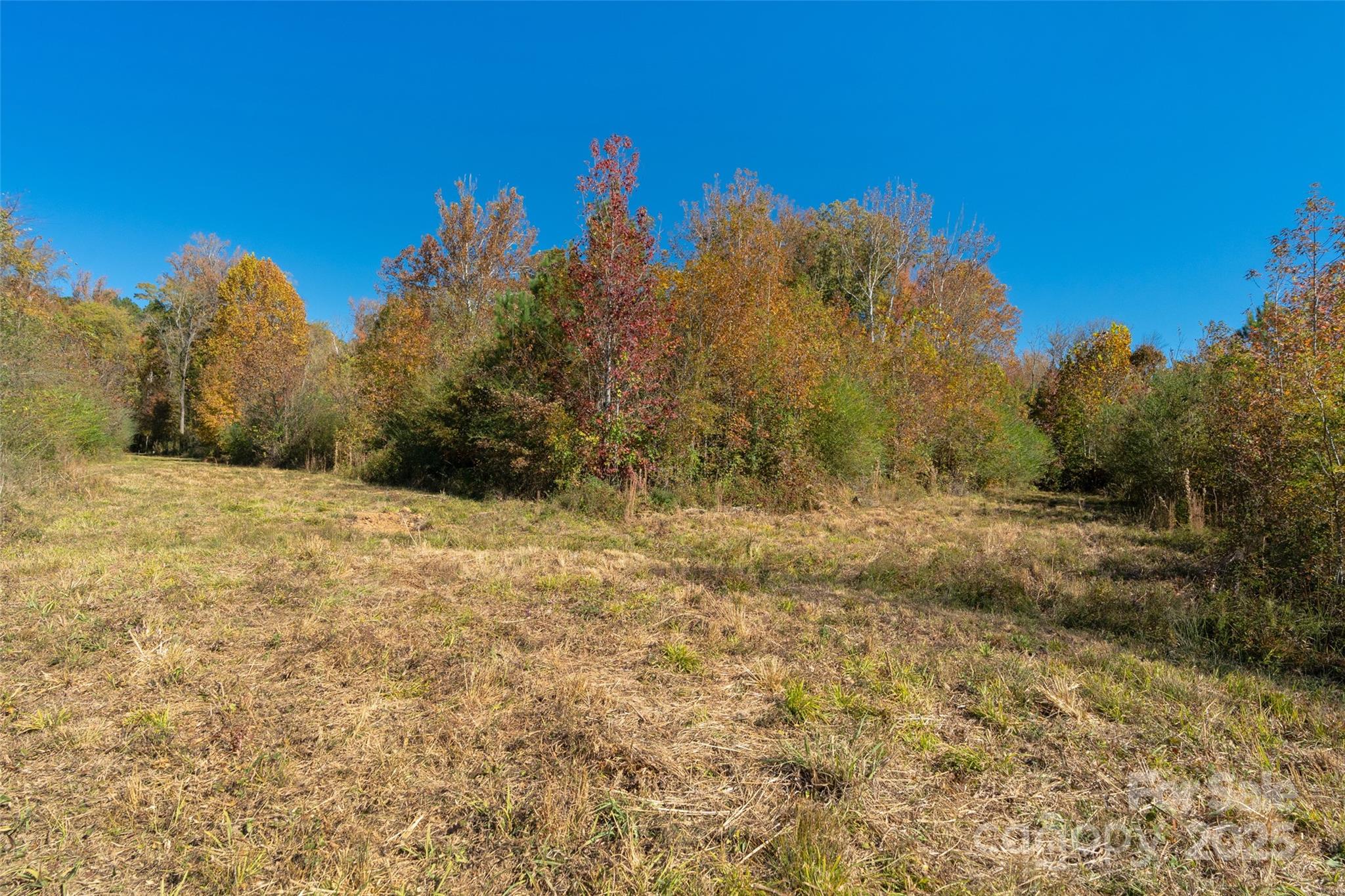 0 Hopewell Church Road, Unit 1 Blackstock, SC 29014 - Photo 30 of 46 Gallery Image 30