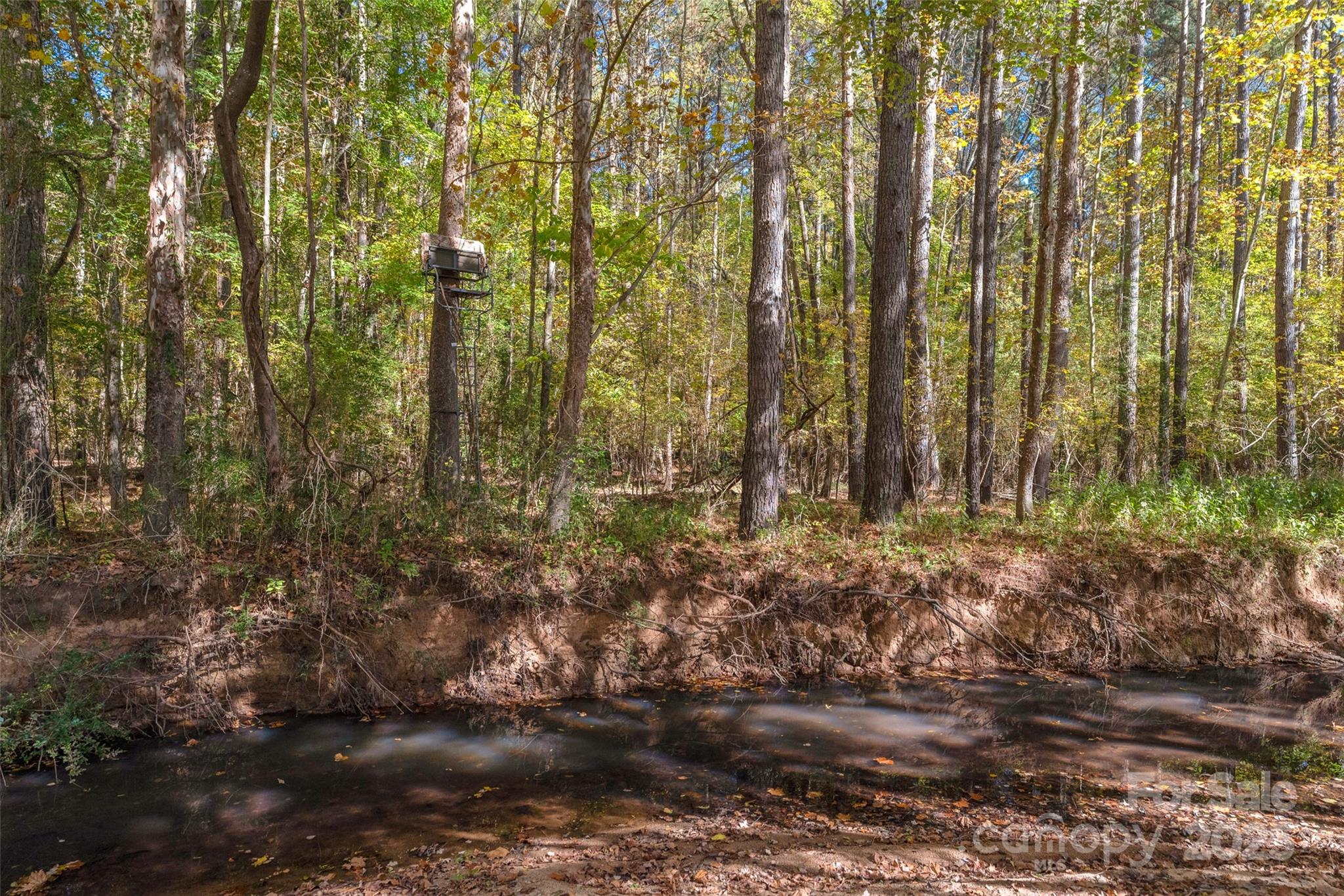 0 Hopewell Church Road, Unit 1 Blackstock, SC 29014 - Photo 3 of 46 Gallery Image 3