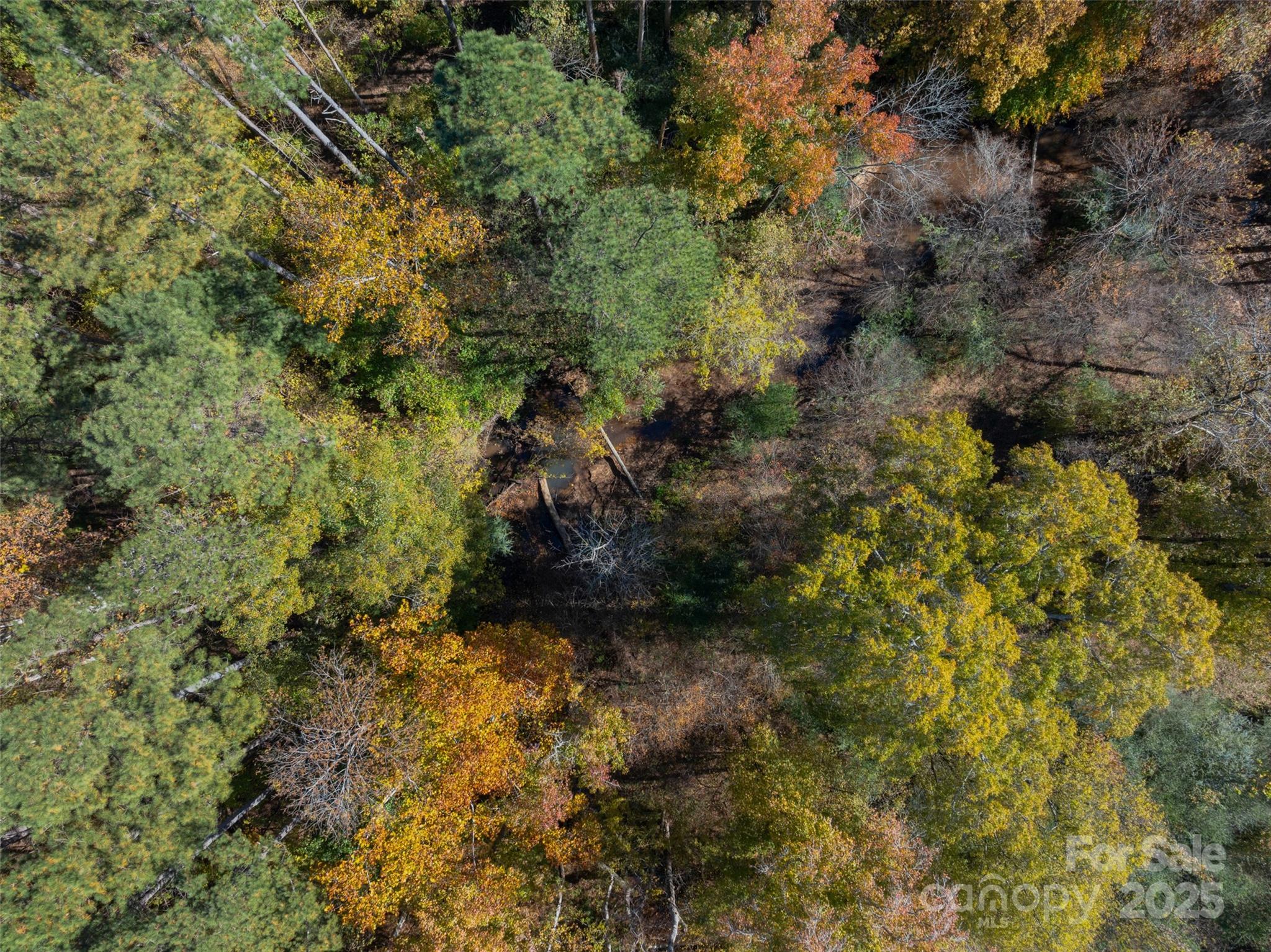 0 Hopewell Church Road, Unit 1 Blackstock, SC 29014 - Photo 4 of 46 Gallery Image 4