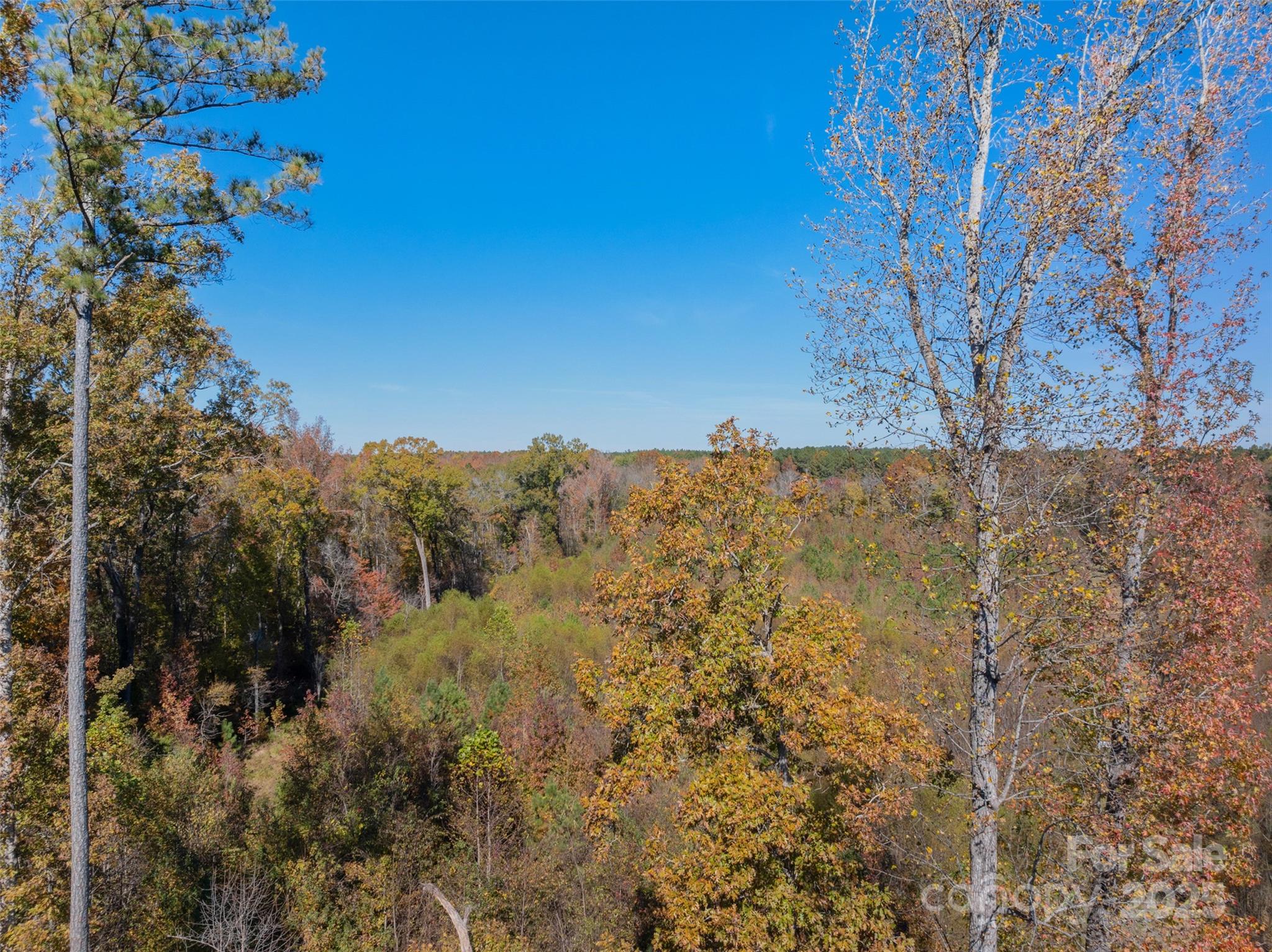 0 Hopewell Church Road, Unit 1 Blackstock, SC 29014 - Photo 7 of 46 Gallery Image 7