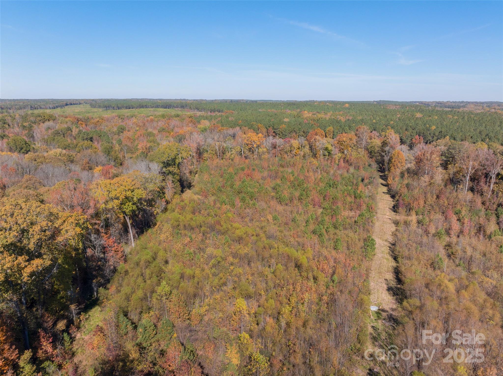 0 Hopewell Church Road, Unit 1 Blackstock, SC 29014 - Photo 8 of 46 Gallery Image 8