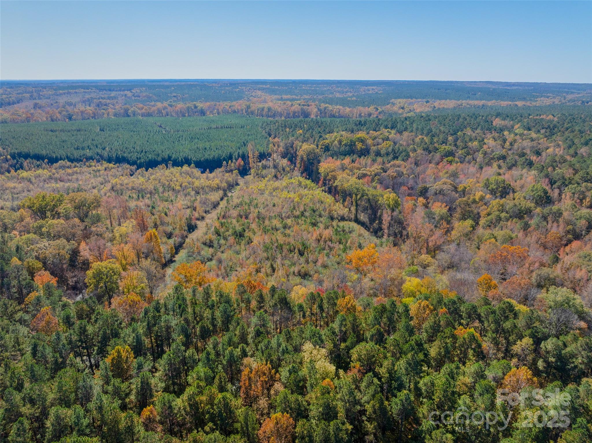 0 Hopewell Church Road, Unit 1 Blackstock, SC 29014 - Photo 10 of 46 Gallery Image 10