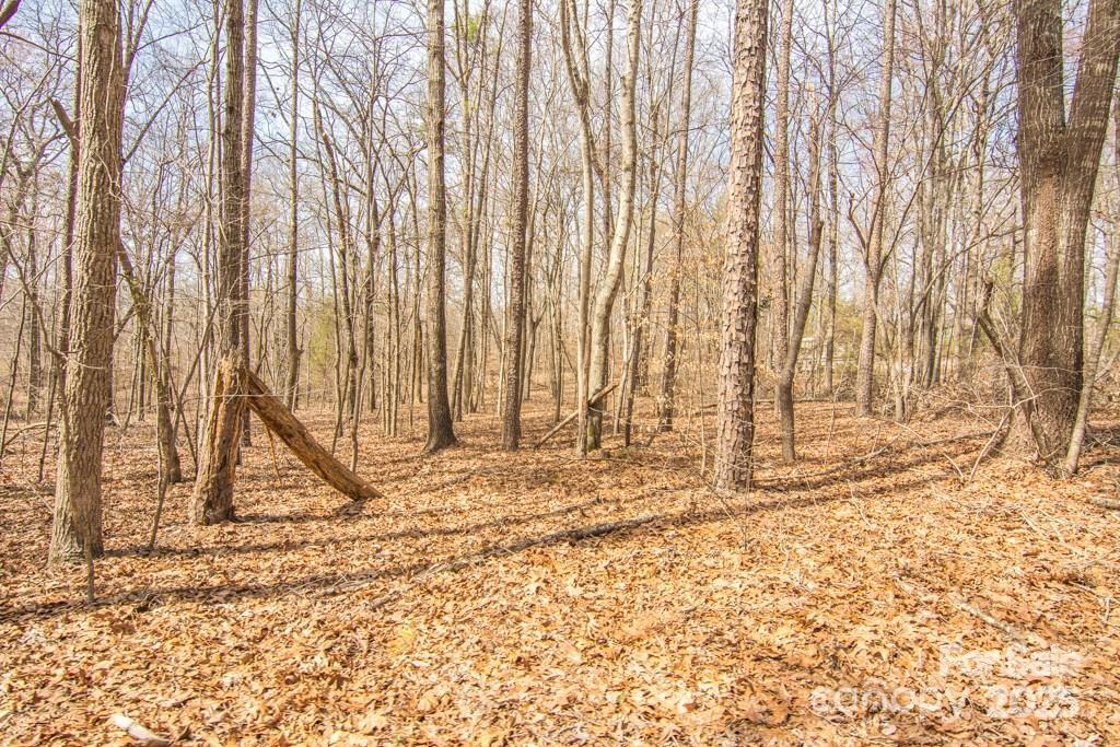 0 Jim Wilson Road Lancaster, SC 29720 - Photo 2 of 3 a view of wooden walls with a yard