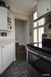 5722 Morgan Ford Road St. Louis, MO 63116 - Photo 31 of 63