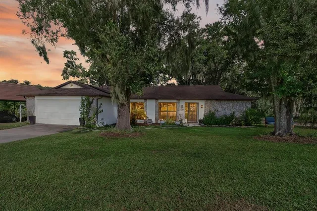 a view of a backyard with plants and large trees