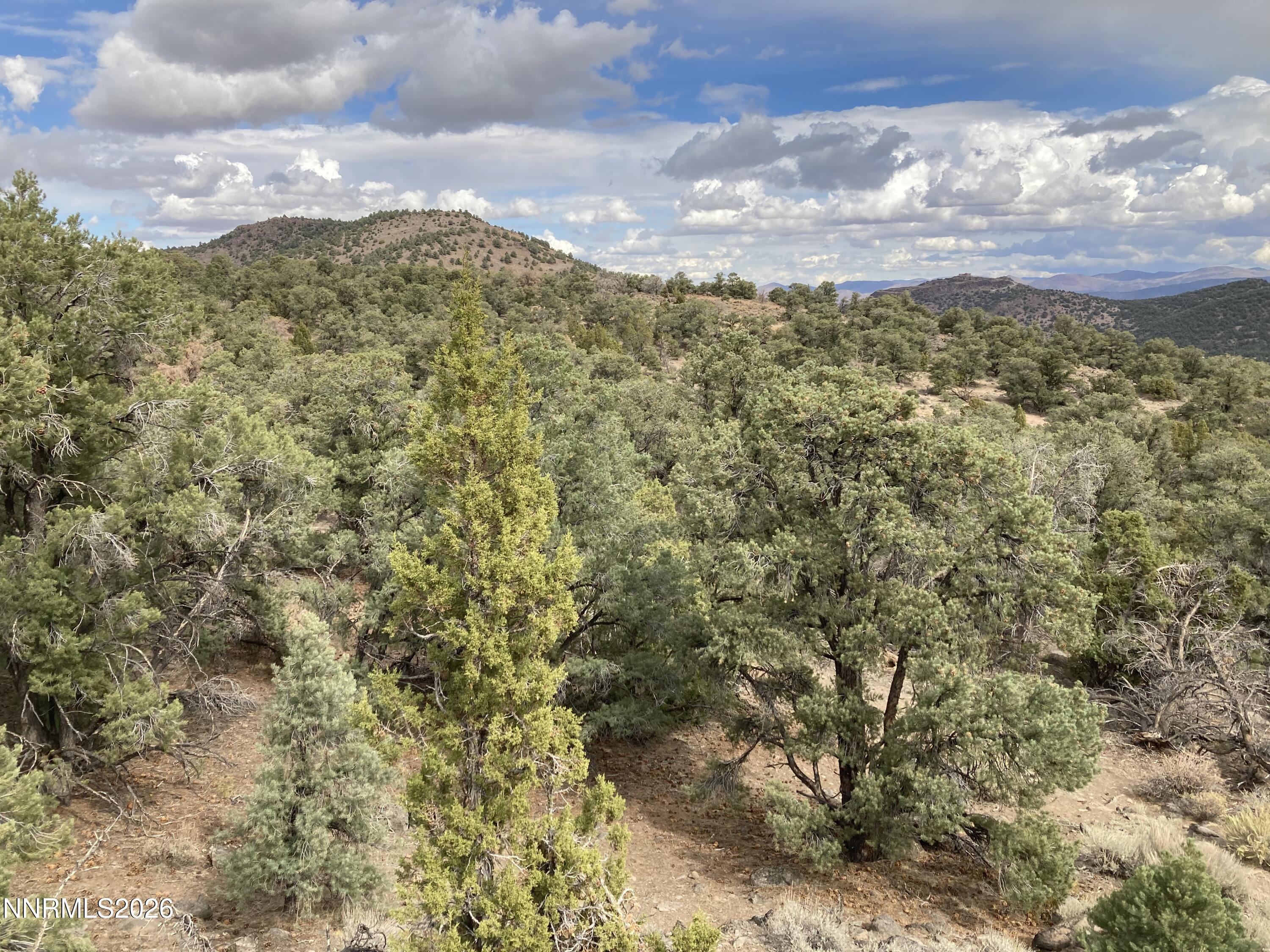 1330 Yellow Jacket Road Reno, NV 89521 - Photo 4 of 11 1