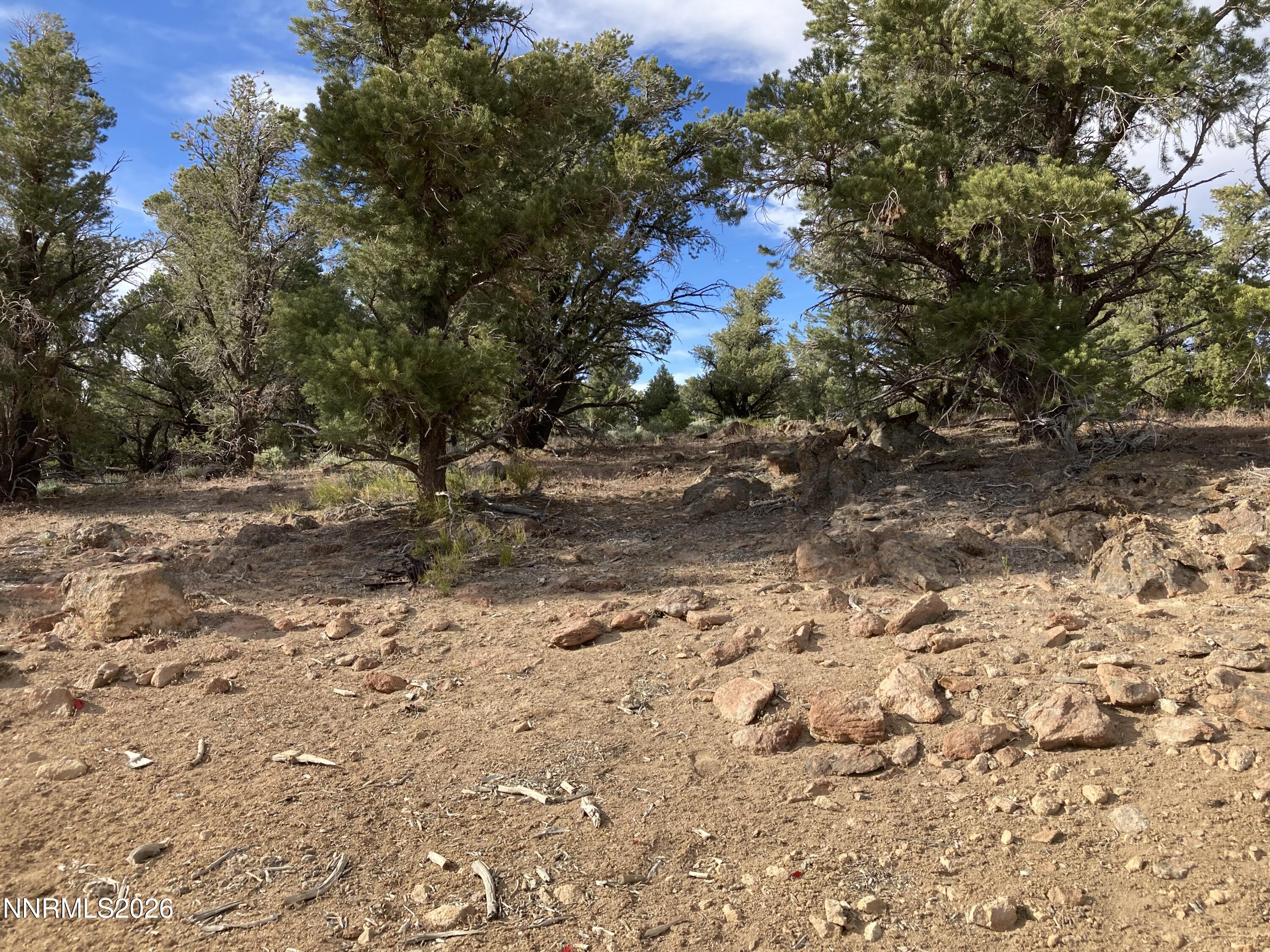 1330 Yellow Jacket Road Reno, NV 89521 - Photo 8 of 11 5