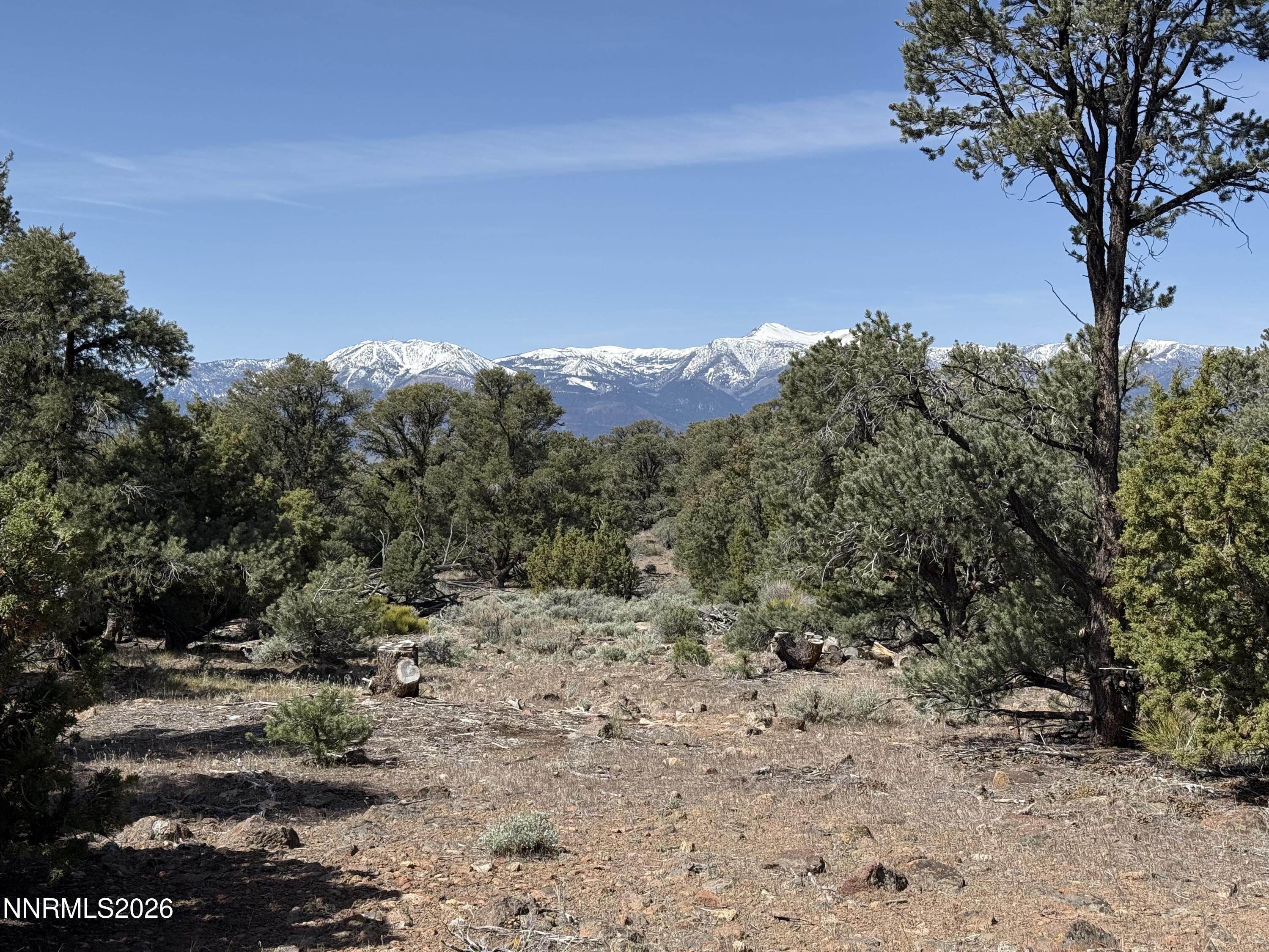 1330 Yellow Jacket Road Reno, NV 89521 - Photo 9 of 11 5