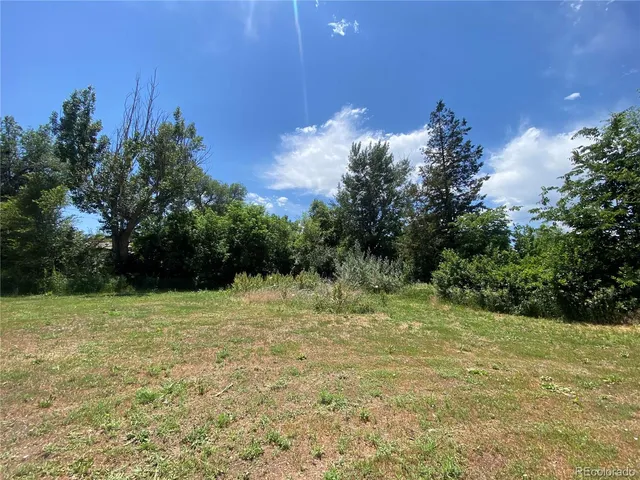 a view of a yard with a tree