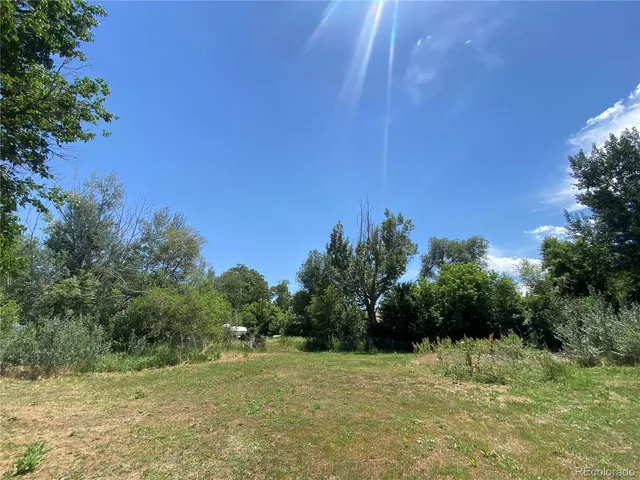 a view of a field with trees in the background