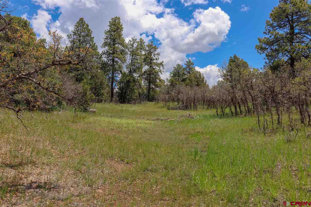 65-a & 65b Ridge Road Durango, CO 81303 - Photo 8 of 11 a big yard with lots of green space and lake view in back