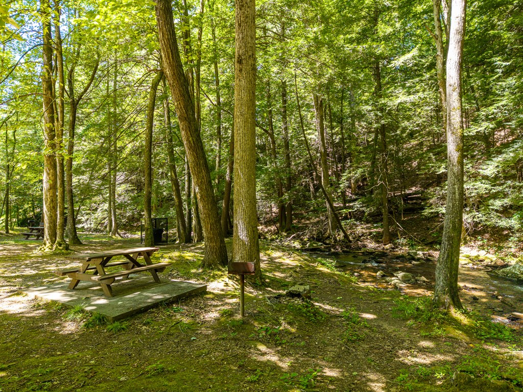 775 Mountain Oak Road Ellijay, GA 30536 - Photo 106 of 106 Amenities