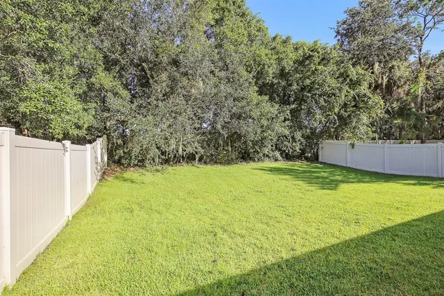 a view of a backyard with a garden and plants