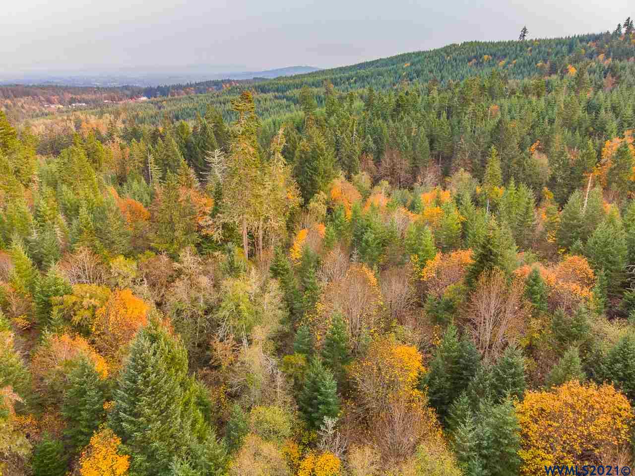 17935 Robb Mill Road Dallas, OR 97338 - Photo 16 of 19 a view of lake view and mountain view