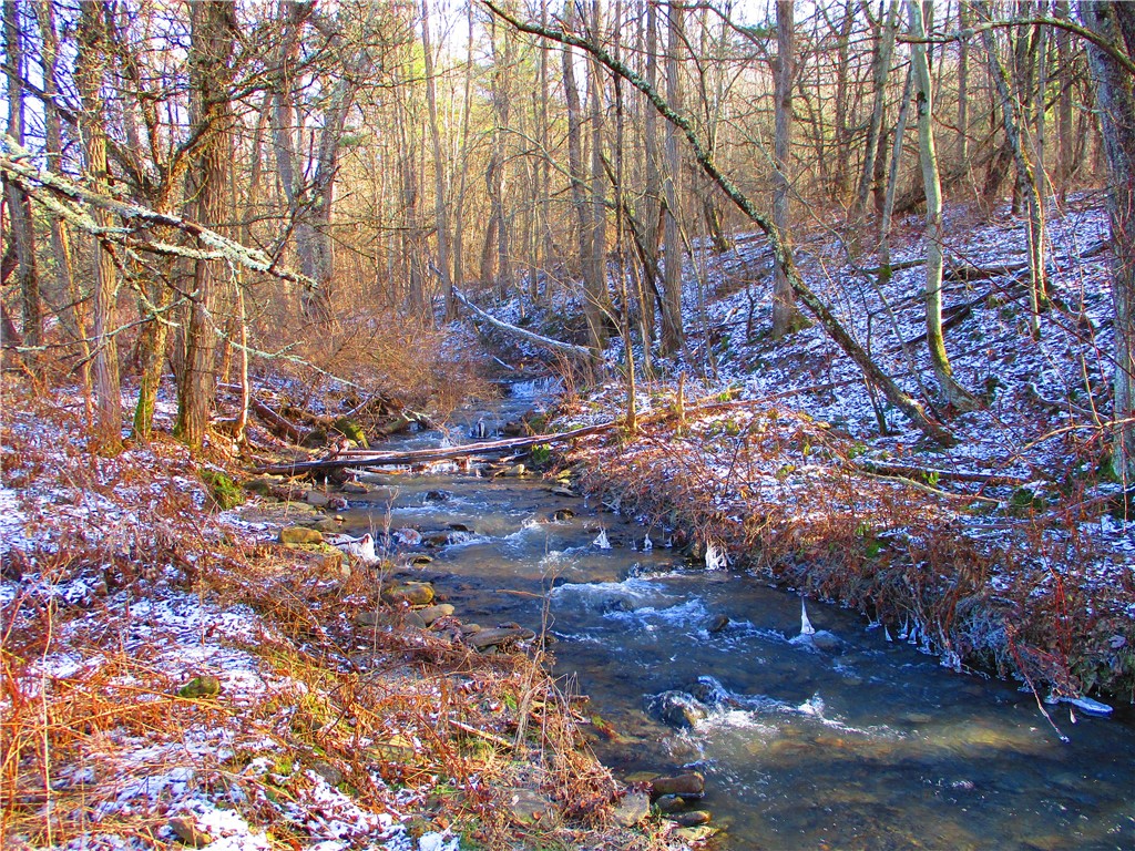 154 Westville Gulf Road Westford, NY 12155 - Photo 37 of 42 Stream