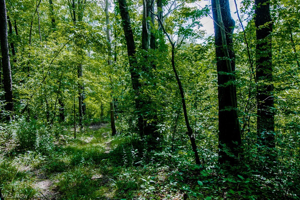 8610 Sumner Road Chardon, OH 44024 - Photo 19 of 35 Hiking......................