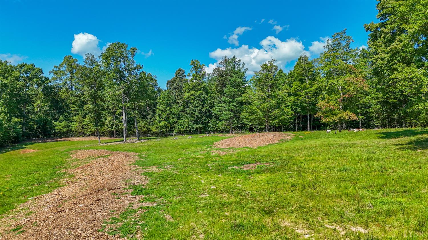 10735 Henry Road Henry, VA 24102 - Photo 45 of 66