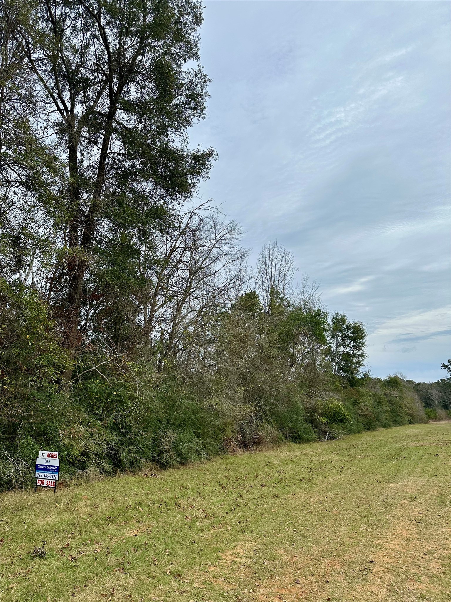 a view of a field with an trees