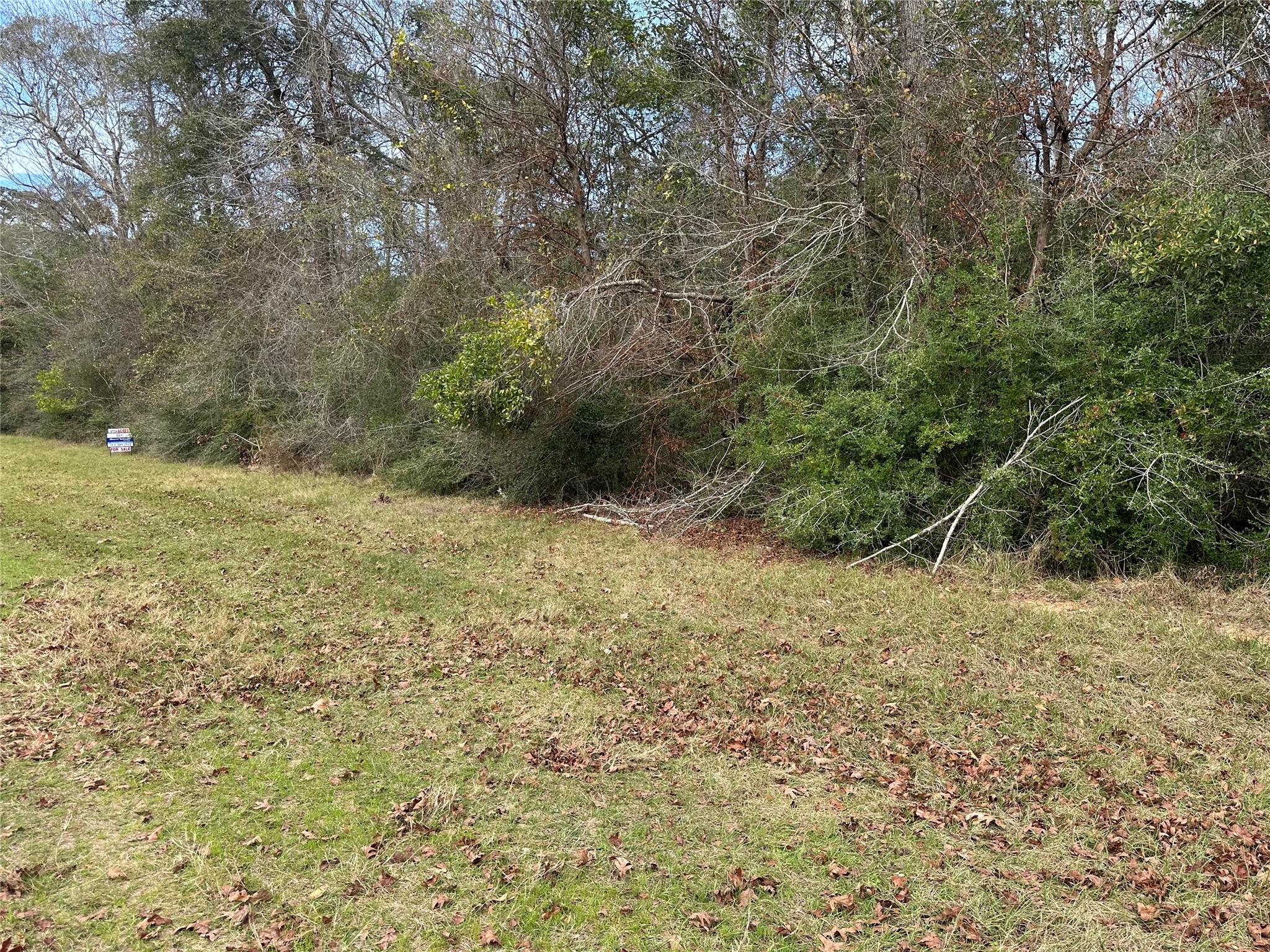 Tbd Tbd Good Pasture Cleveland, TX 77327 - Photo 2 of 5 a view of a yard with a tree