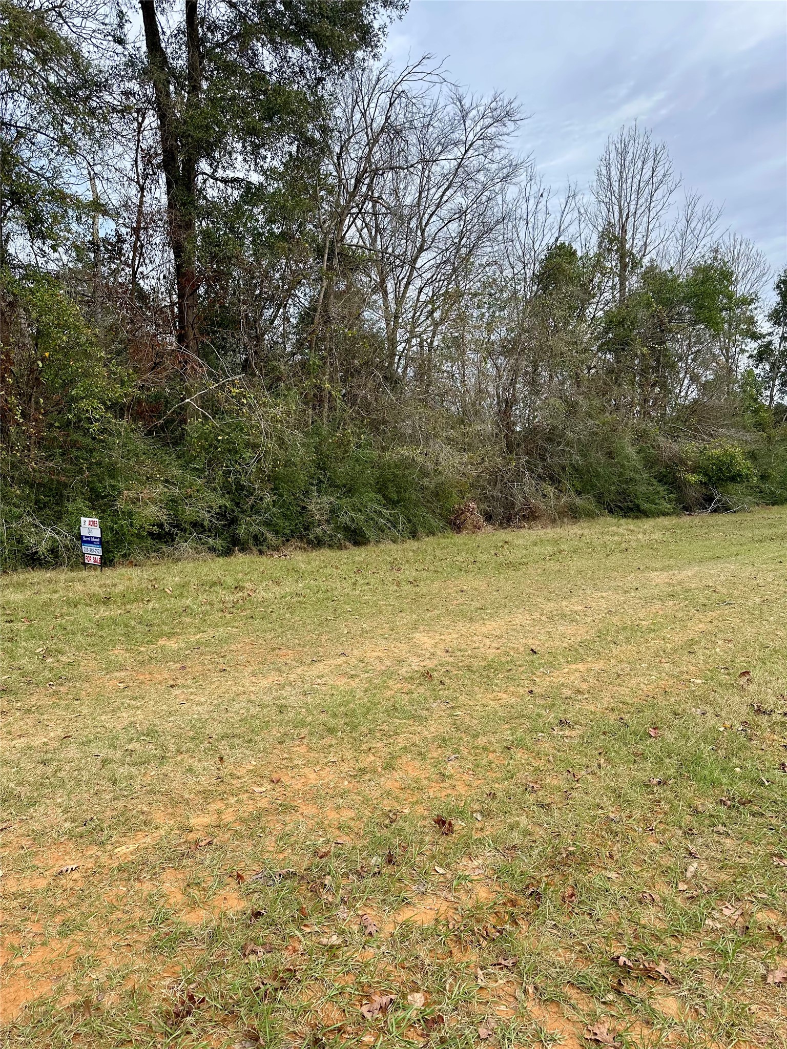 Tbd Tbd Good Pasture Cleveland, TX 77327 - Photo 4 of 5 a view of yard with large trees