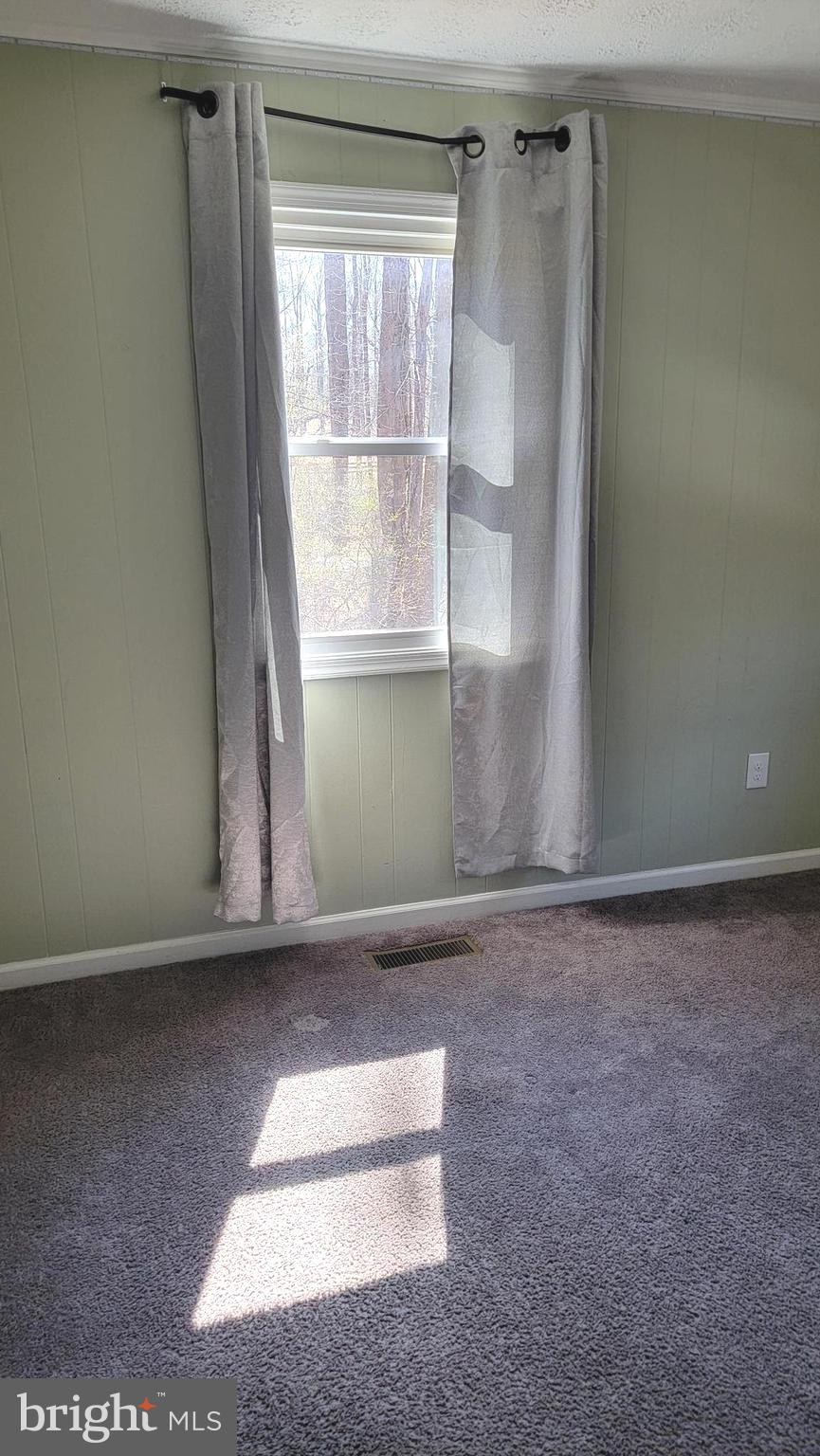 11123 Jacksontown Road Somerset, VA 22972 - Photo 13 of 44