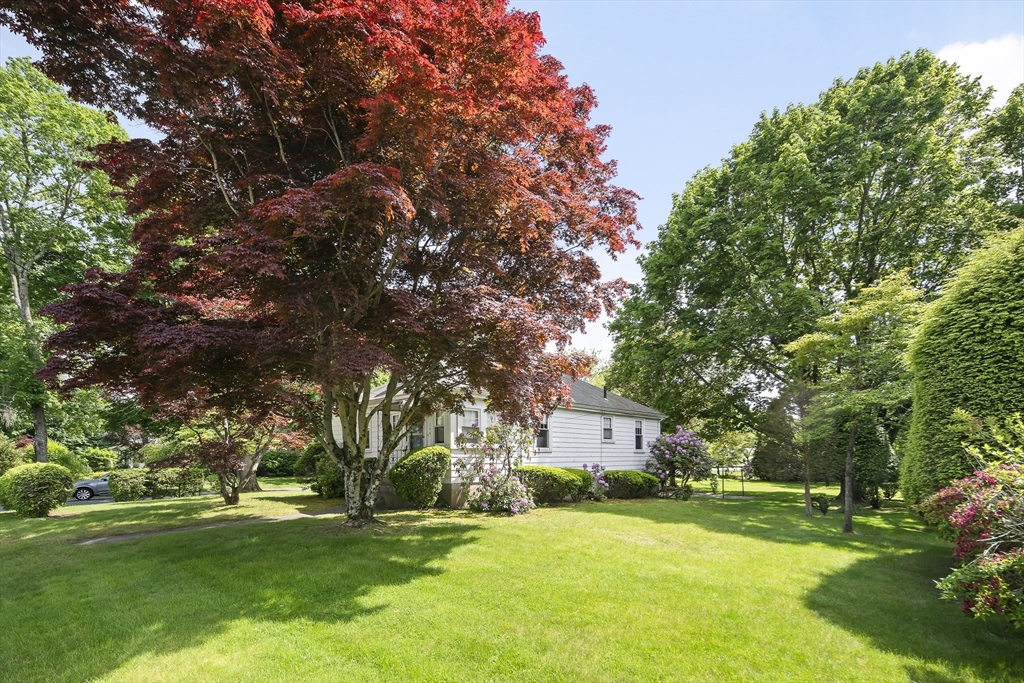 104 Reed Street Lexington, MA 02421 - Photo 2 of 14