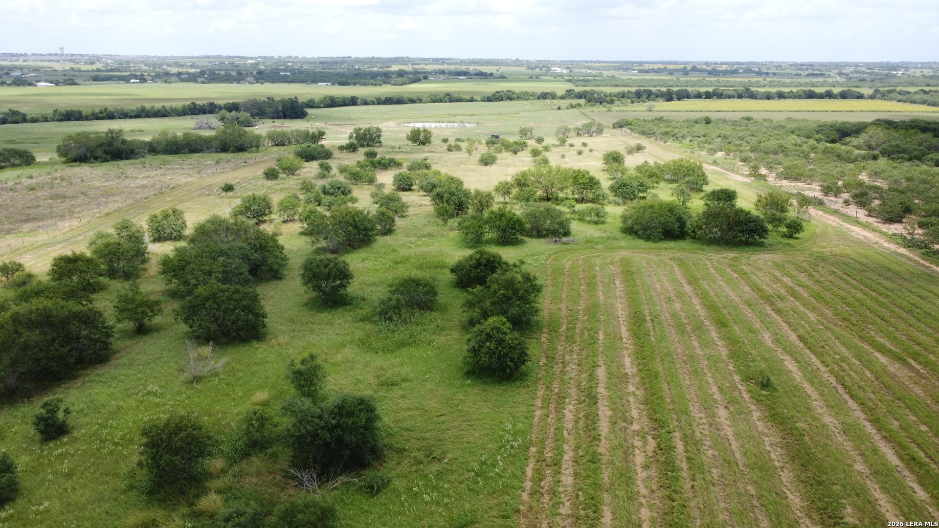900 North Graytown Road St. Hedwig, TX 78152 - Photo 40 of 47