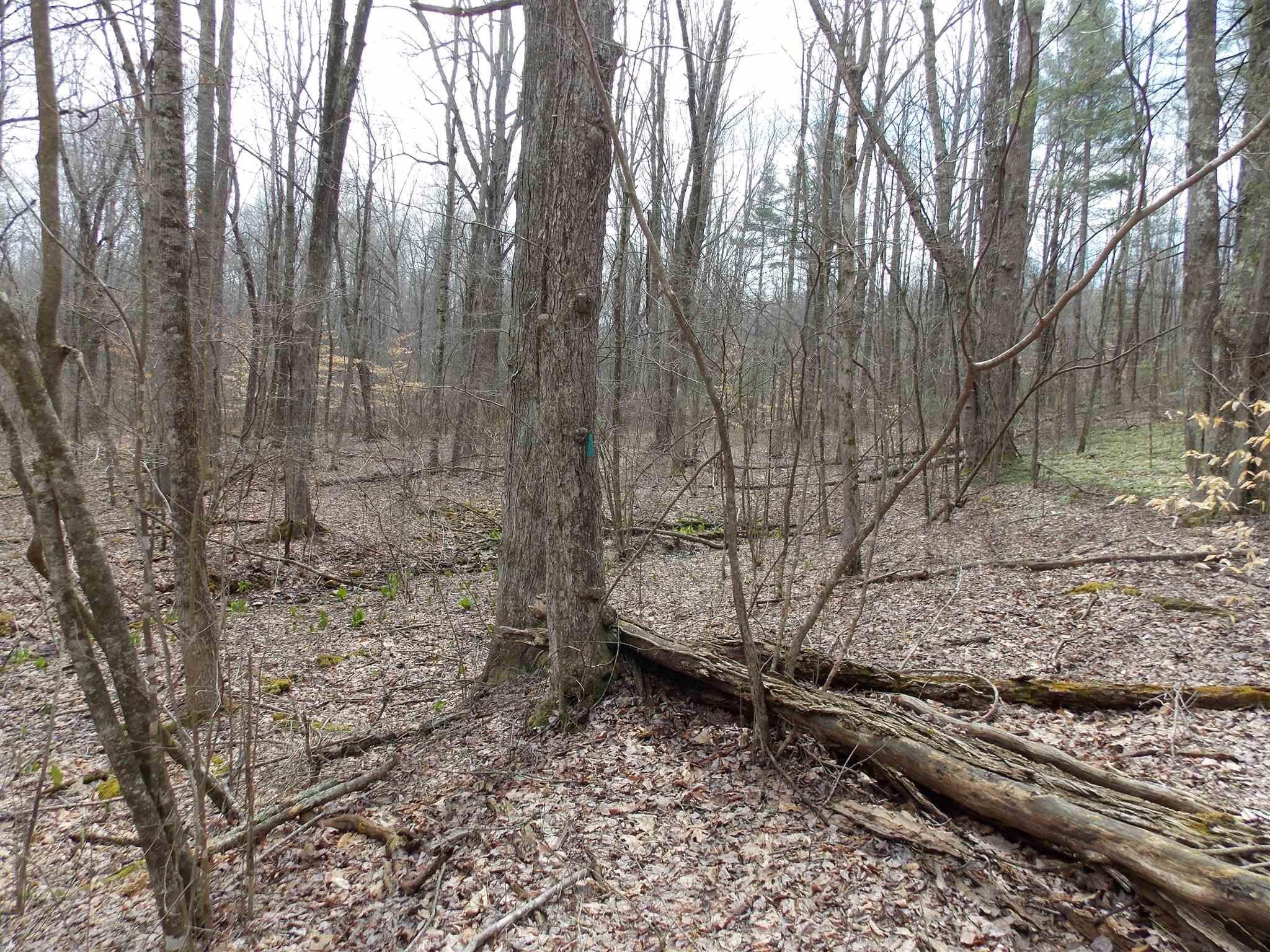 Tbd Broad Hollow Road Southeast Floyd, VA 24091 - Photo 25 of 45 Gallery Image 25