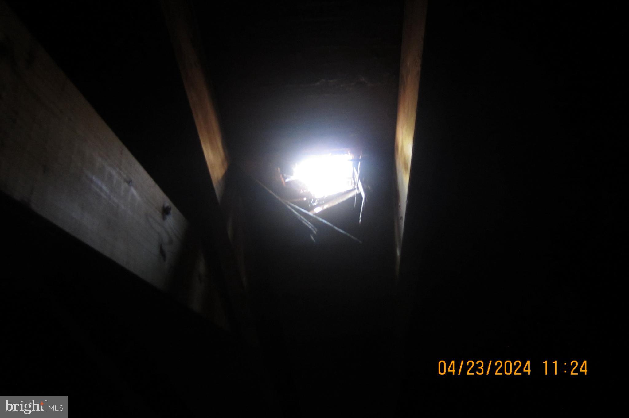 18 Oriole Road Wyomissing, PA 19610 - Photo 30 of 40 Approx. 6" hole in roof from fallen tree branch