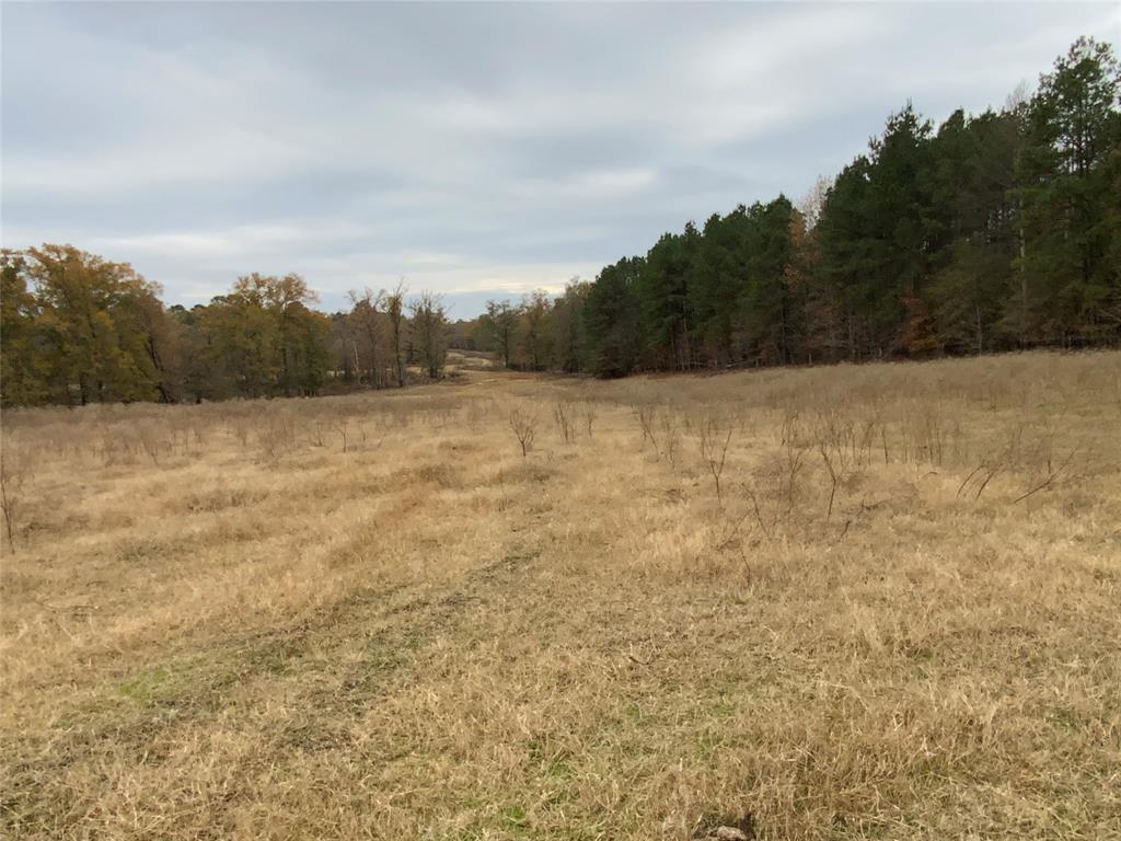 1 West Harrison Road Longview, TX 75604 - Photo 12 of 18 Pasture