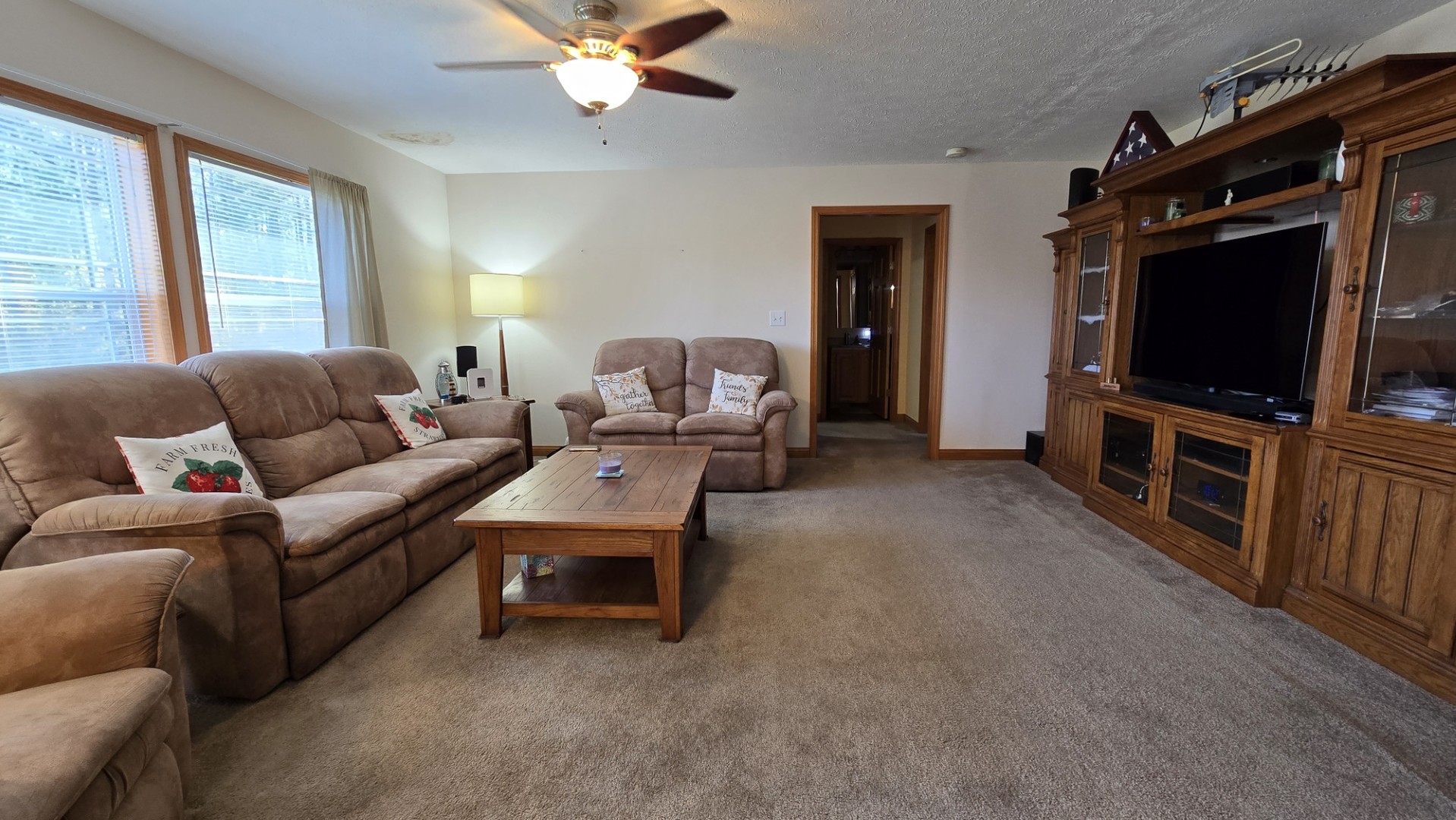 1240 Hummingbird Road Buncombe, IL 62912 - Photo 20 of 51 a living room with furniture and a flat screen tv