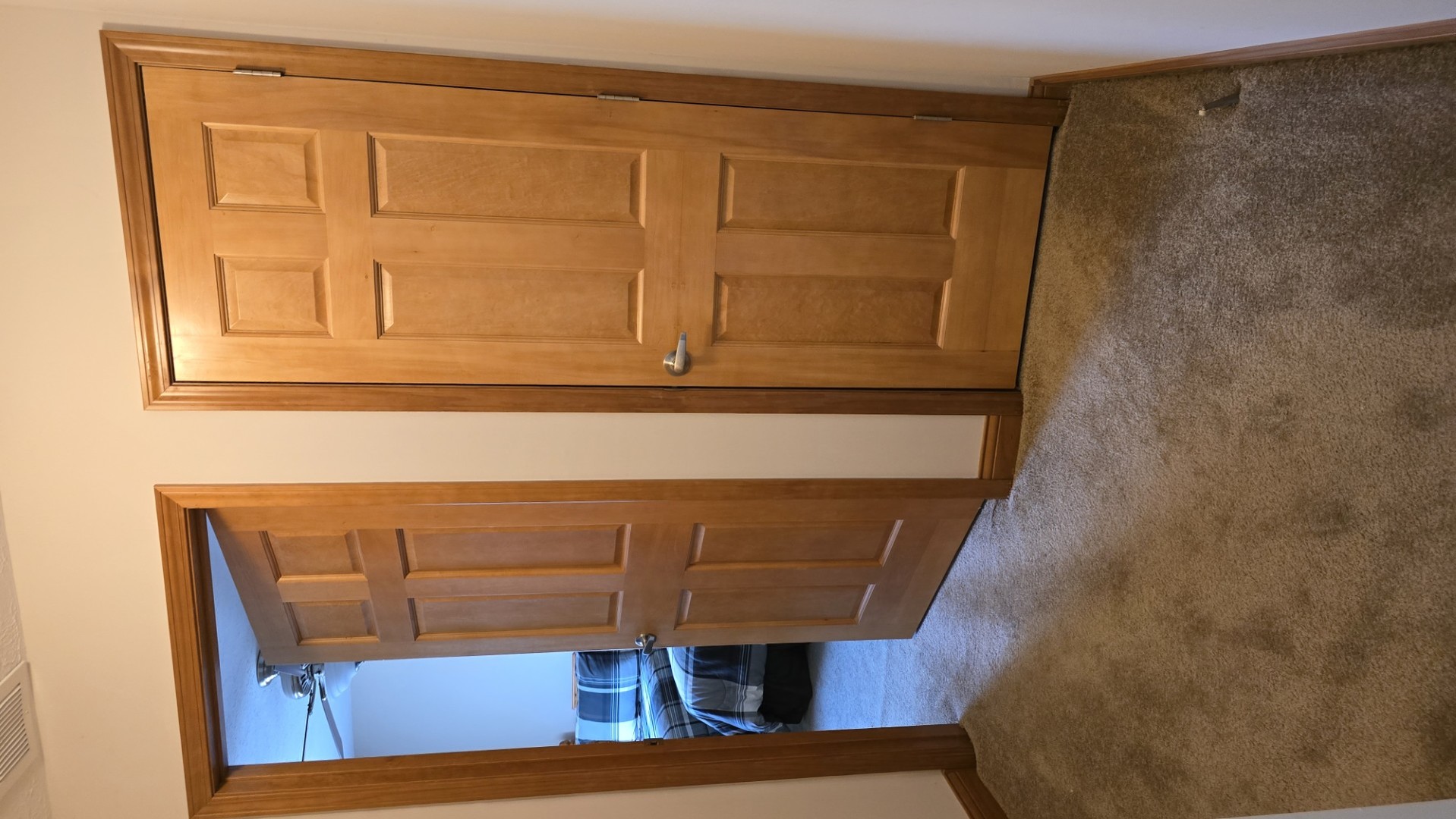 1240 Hummingbird Road Buncombe, IL 62912 - Photo 44 of 51 a view of a door and wooden floor