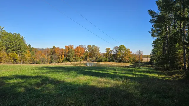 $1 | 1240 Hummingbird Road, Buncombe, IL 62912