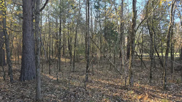 $1 | 1240 Hummingbird Road, Buncombe, IL 62912