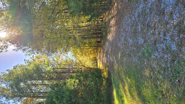 $1 | 1240 Hummingbird Road, Buncombe, IL 62912