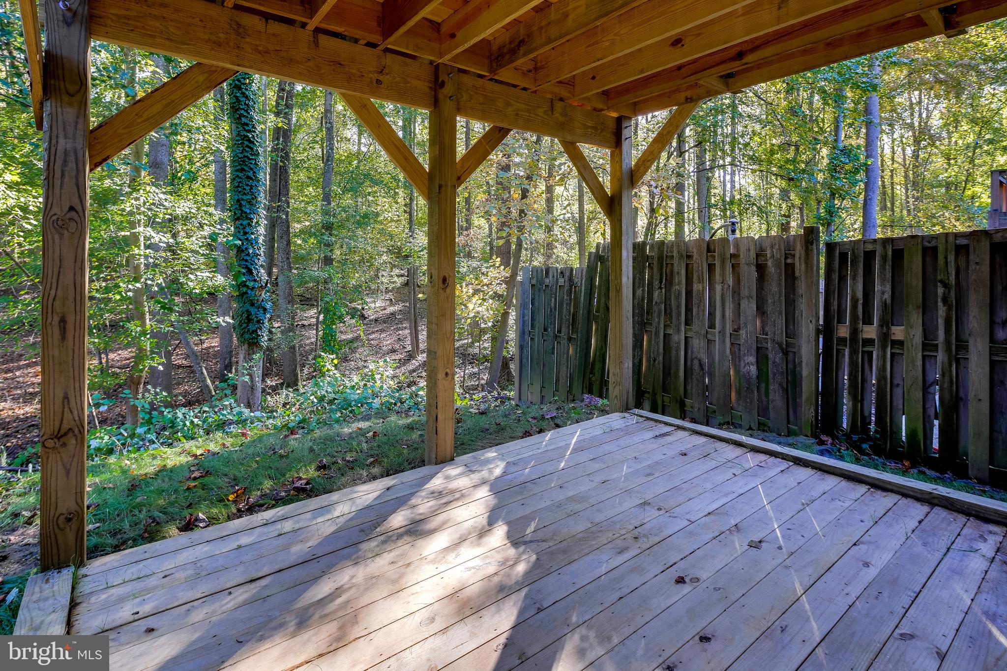 309 Lyric Lane Silver Spring, MD 20901 - Photo 24 of 26 Basement Walk Out Patio