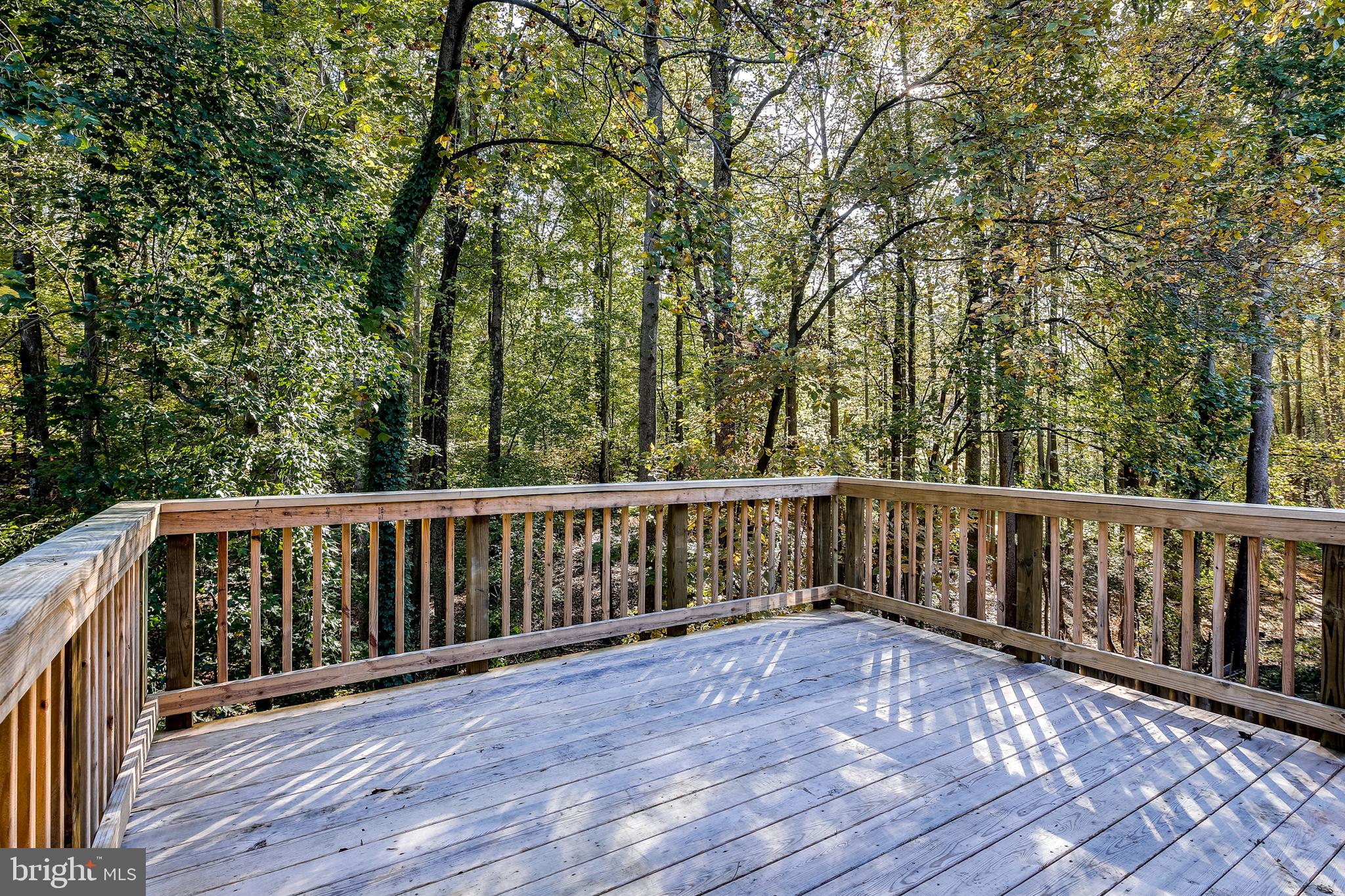 309 Lyric Lane Silver Spring, MD 20901 - Photo 9 of 26 Deck w/ Private View