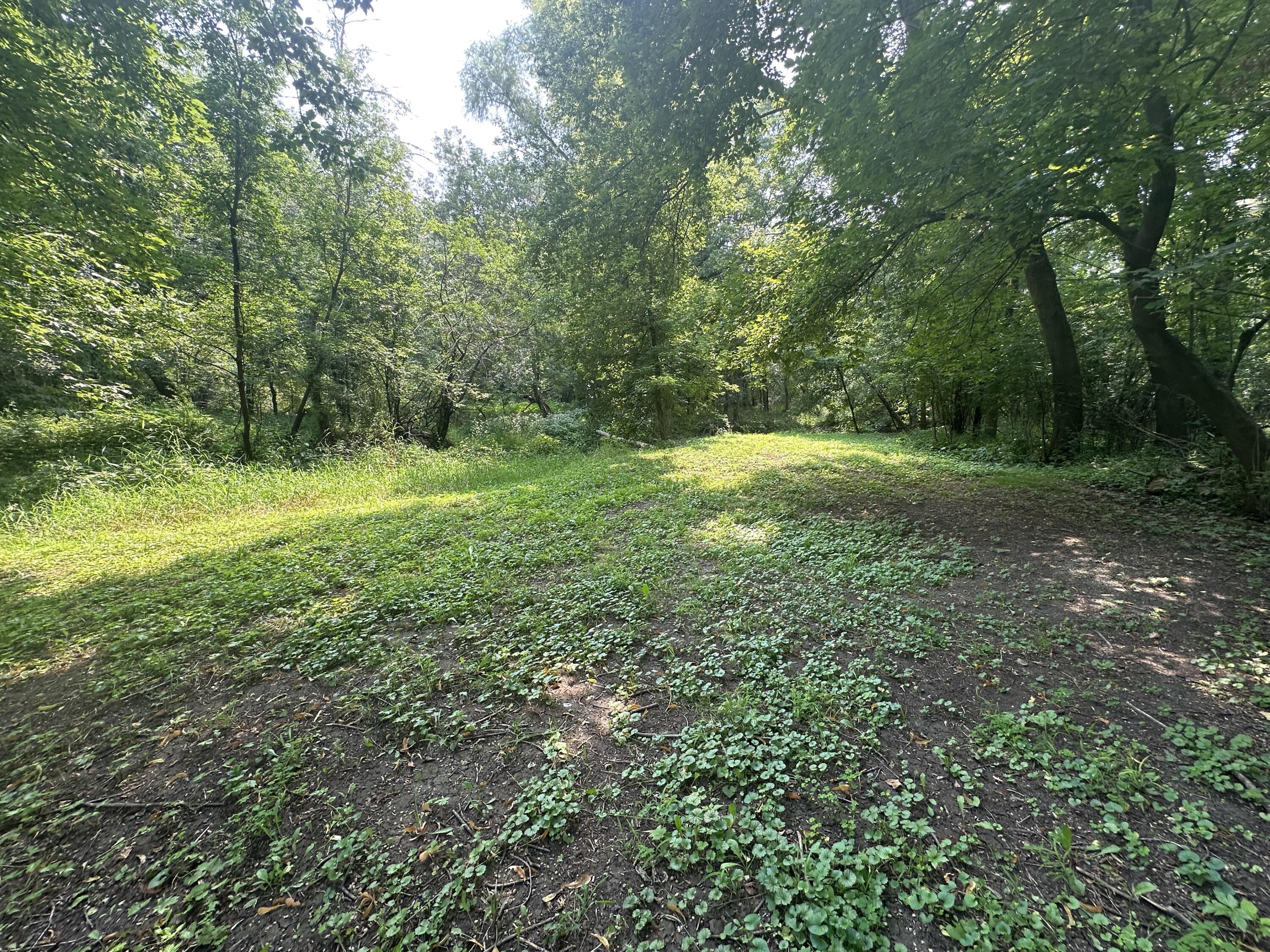 W4978 Valley Creek Road Fond du Lac, WI 54937 - Photo 40 of 60 IMG_4605