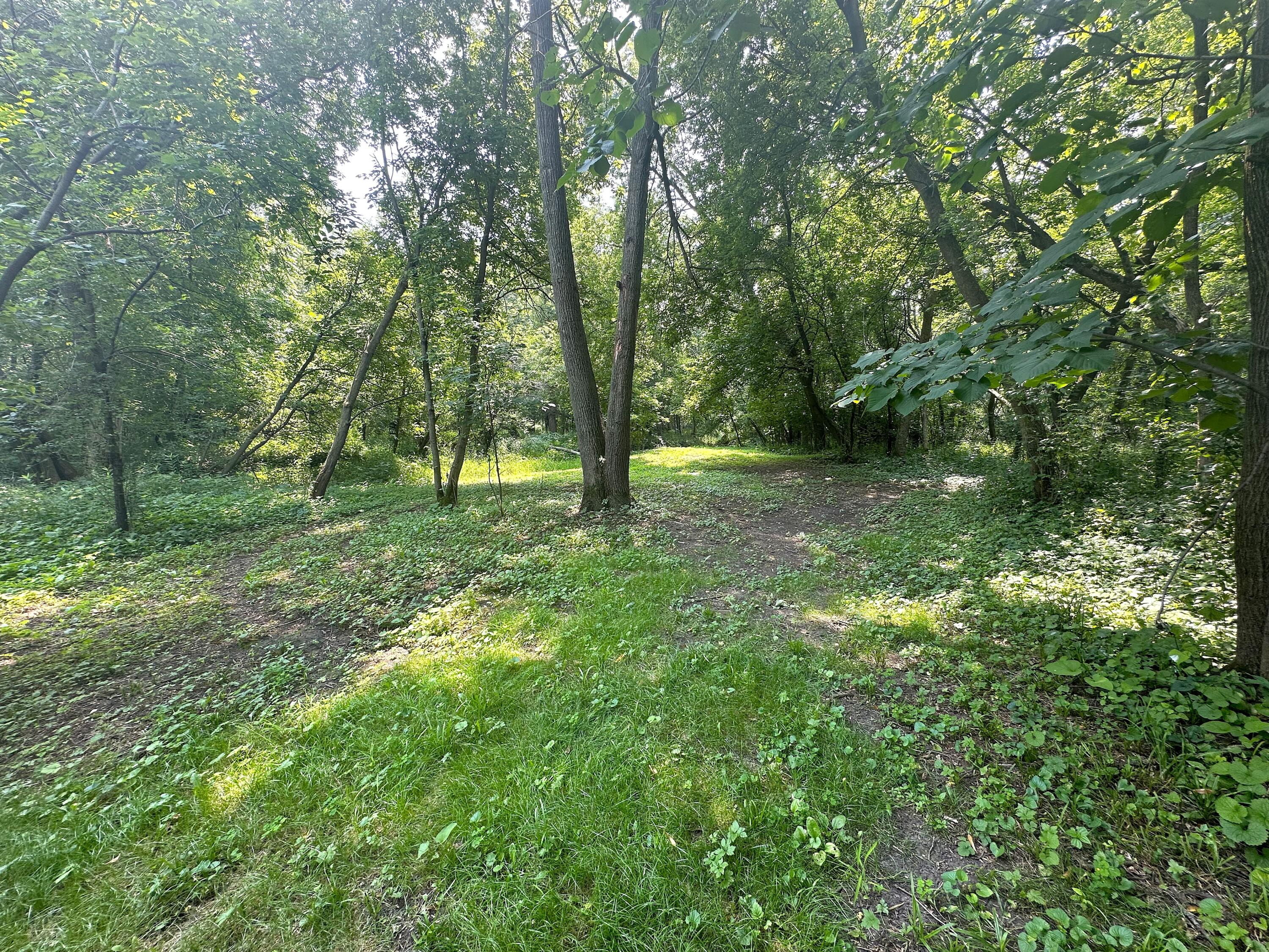 W4978 Valley Creek Road Fond du Lac, WI 54937 - Photo 41 of 60 IMG_4604