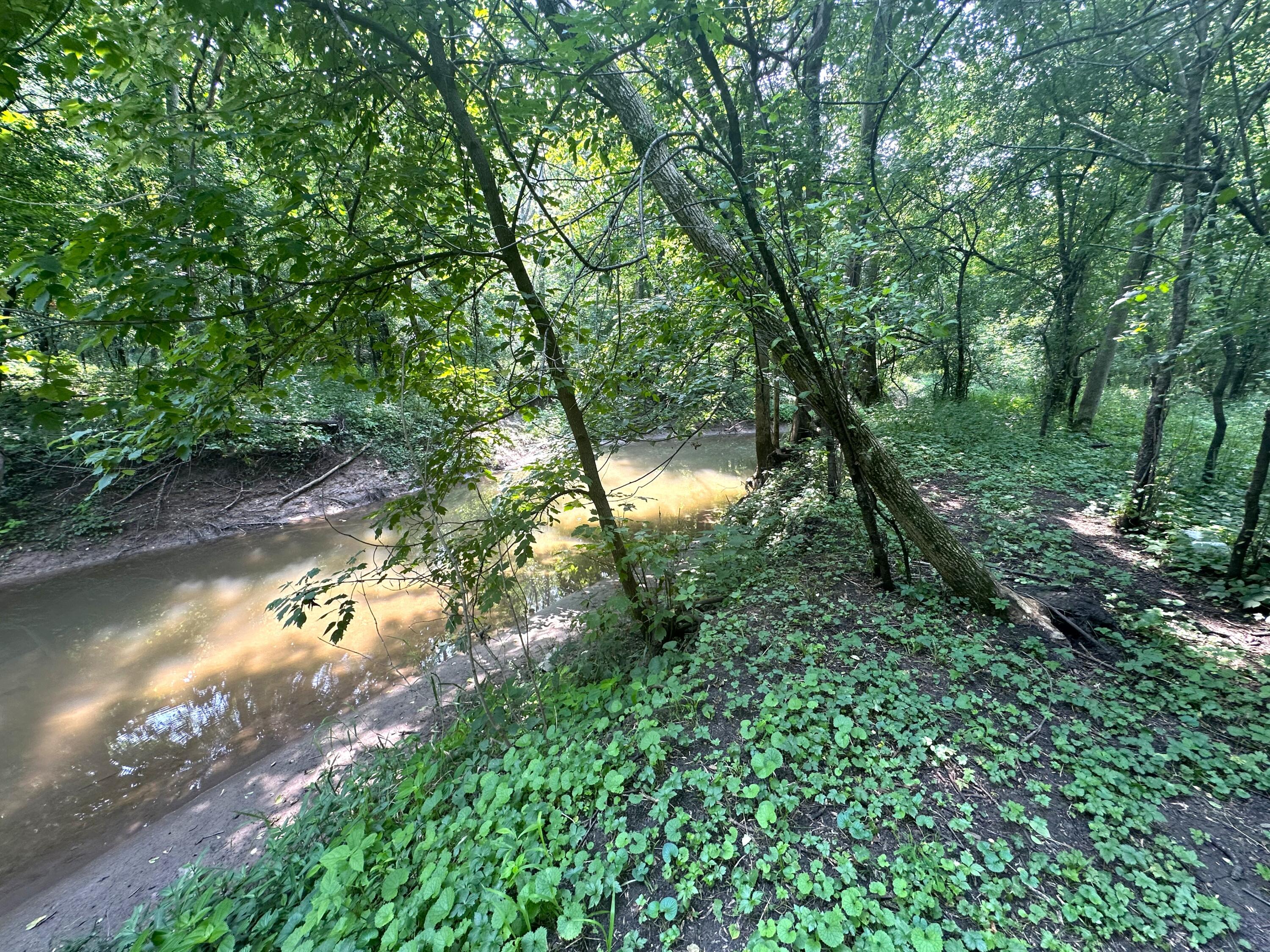 W4978 Valley Creek Road Fond du Lac, WI 54937 - Photo 42 of 60 IMG_4607