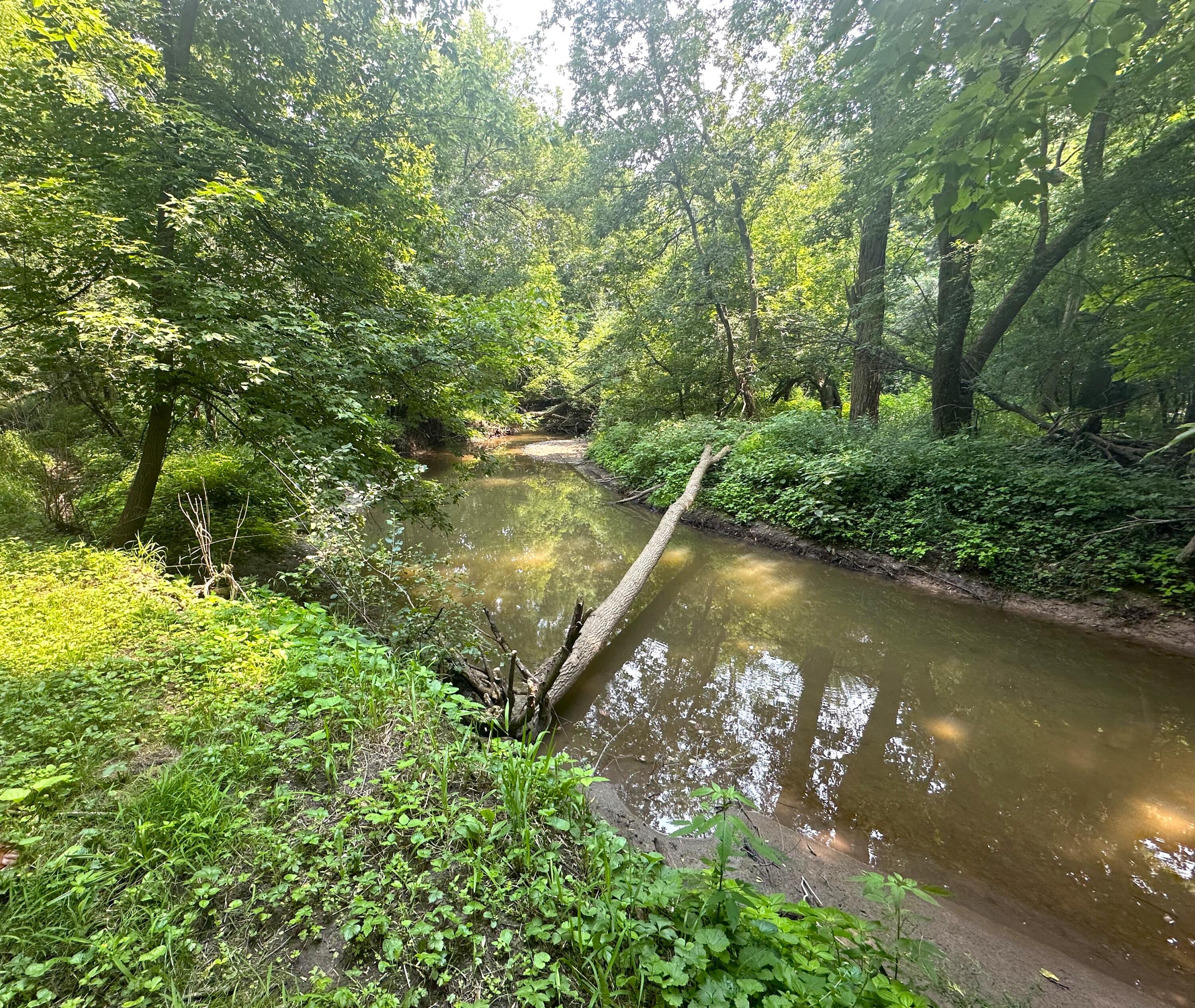 W4978 Valley Creek Road Fond du Lac, WI 54937 - Photo 44 of 60 IMG_4608