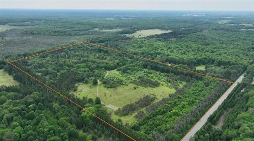 11206 Nolan Road Gladwin, MI 48624 - Photo 1 of 47