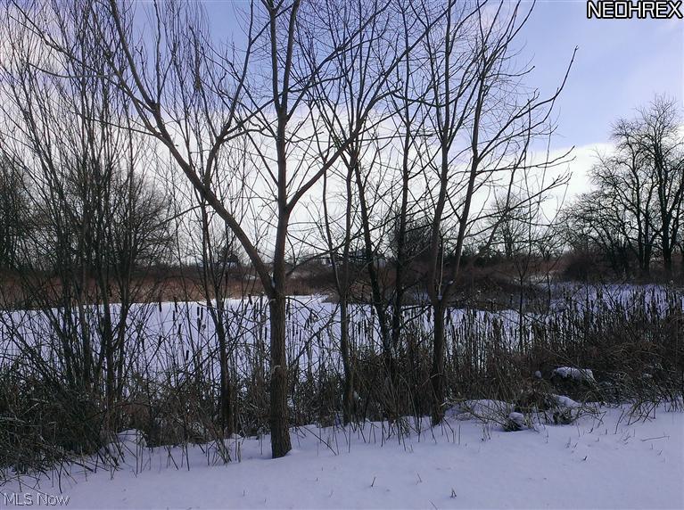 1031 Township Road Nova, OH 44859 - Photo 1 of 1 Gallery Image 1
