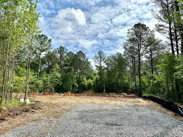 a view of a yard with a tree